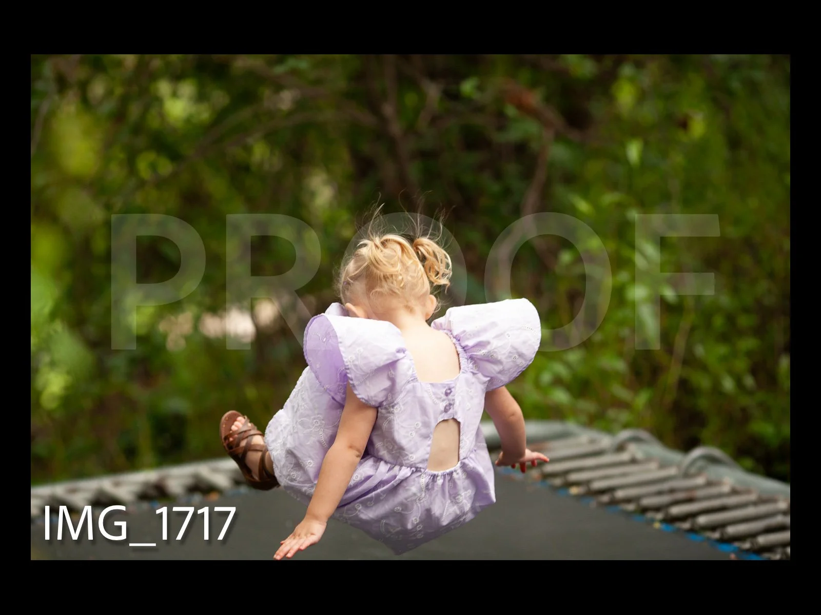HarralProof-165.jpg