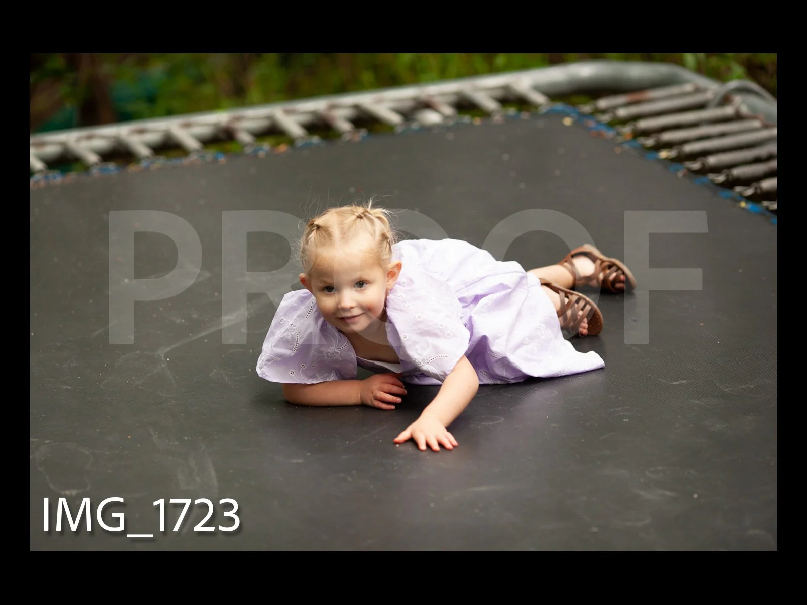 HarralProof-168.jpg