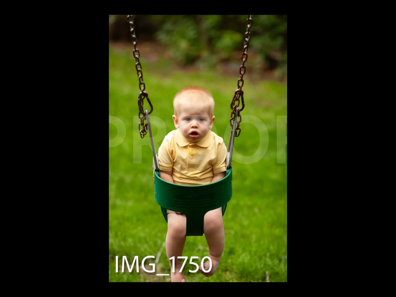 HarralProof-183.jpg
