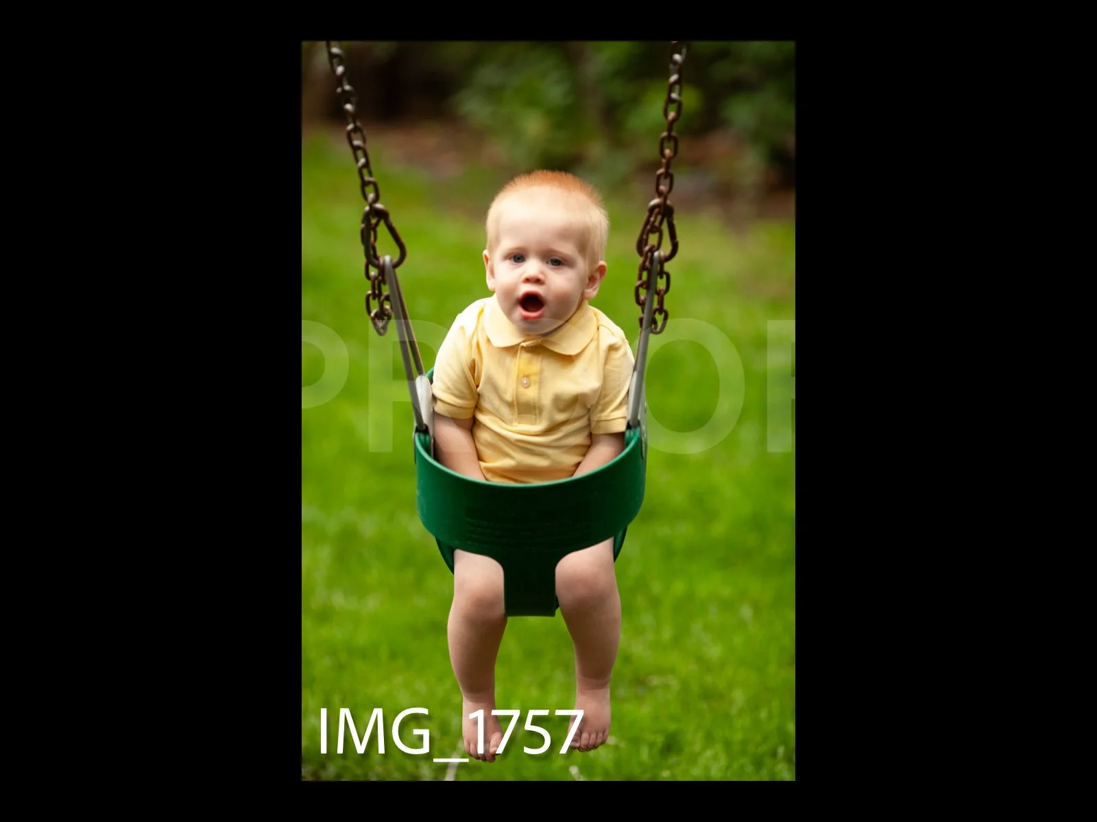 HarralProof-187.jpg