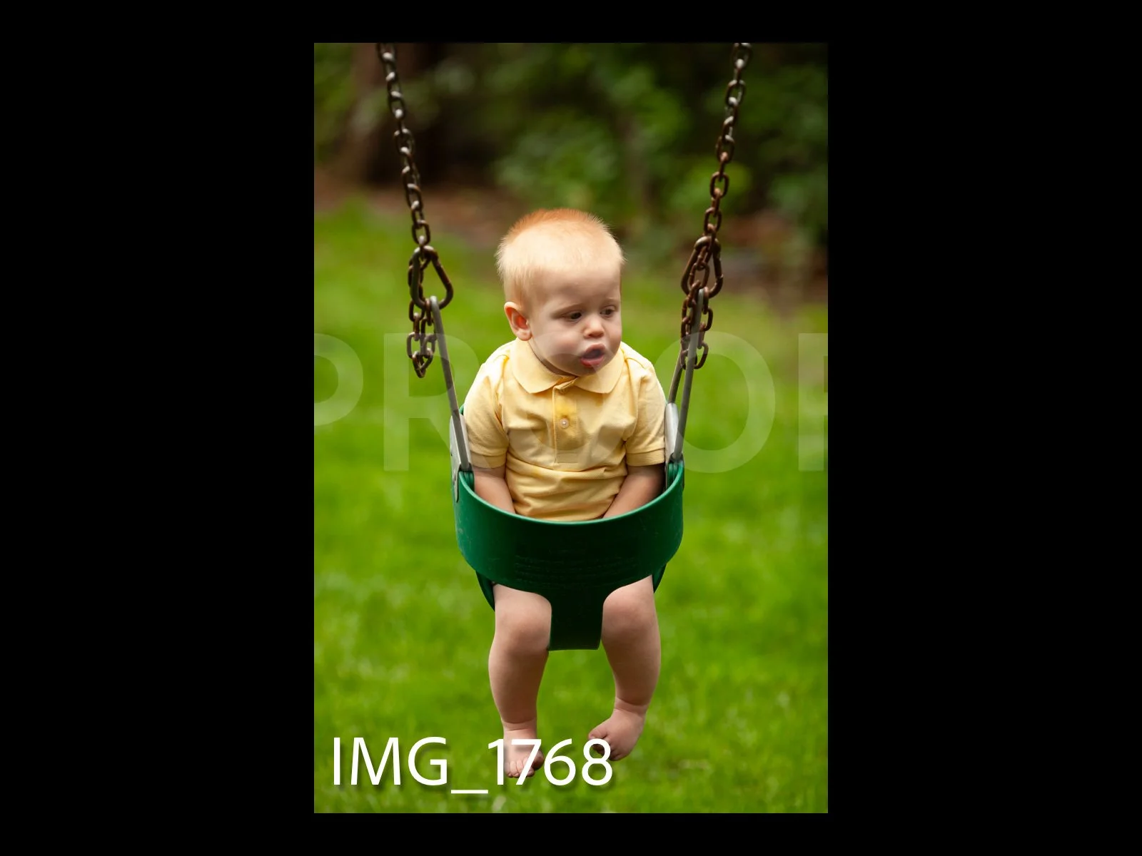 HarralProof-195.jpg