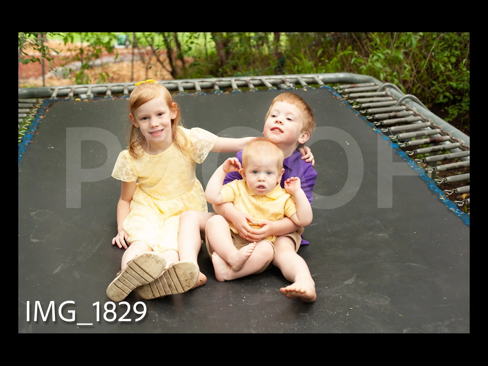 HarralProof-238.jpg