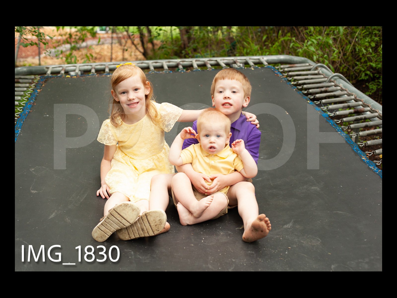 HarralProof-239.jpg