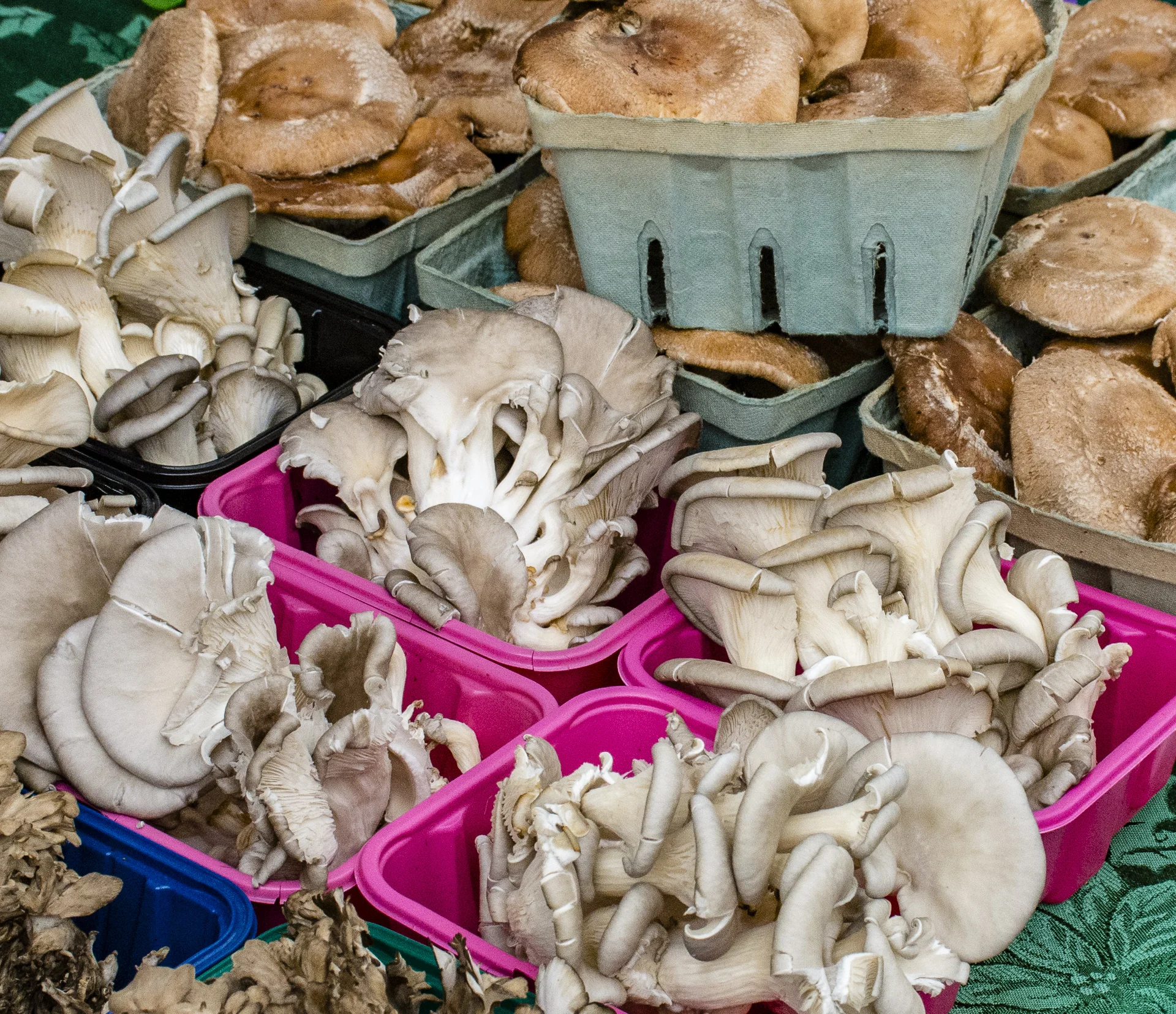 Mushrooms