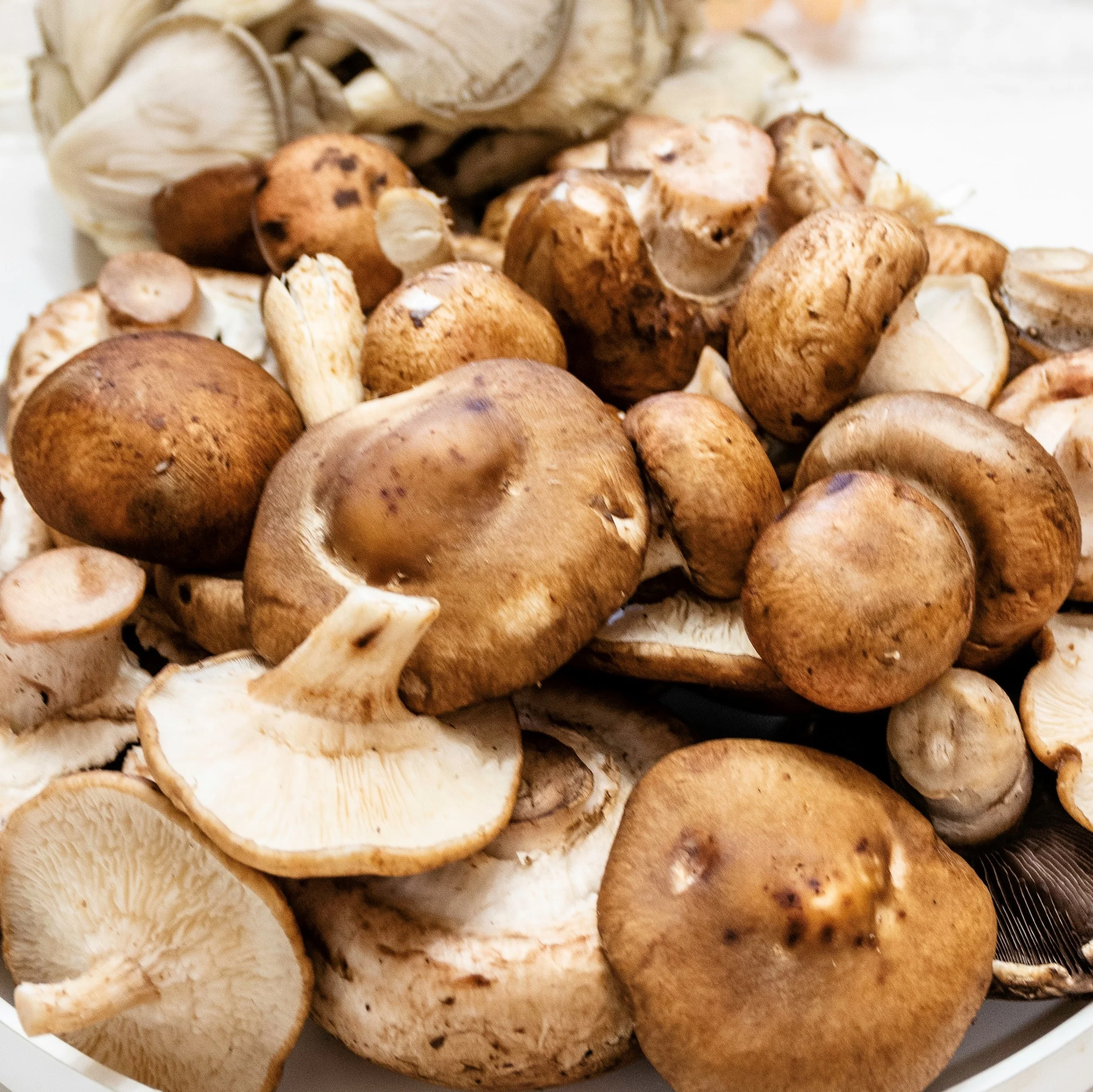 More mushrooms