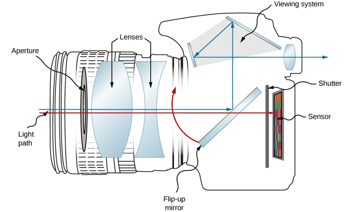 DSLR DIagram.jpg