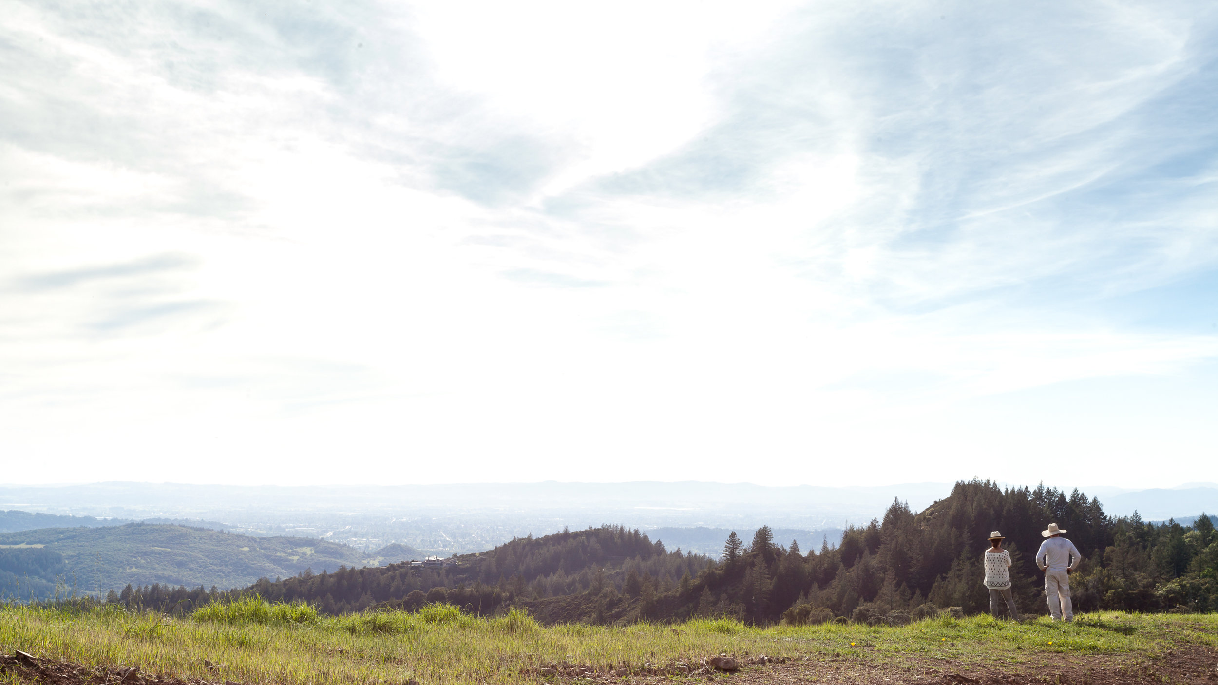 Sonoma_14.jpg