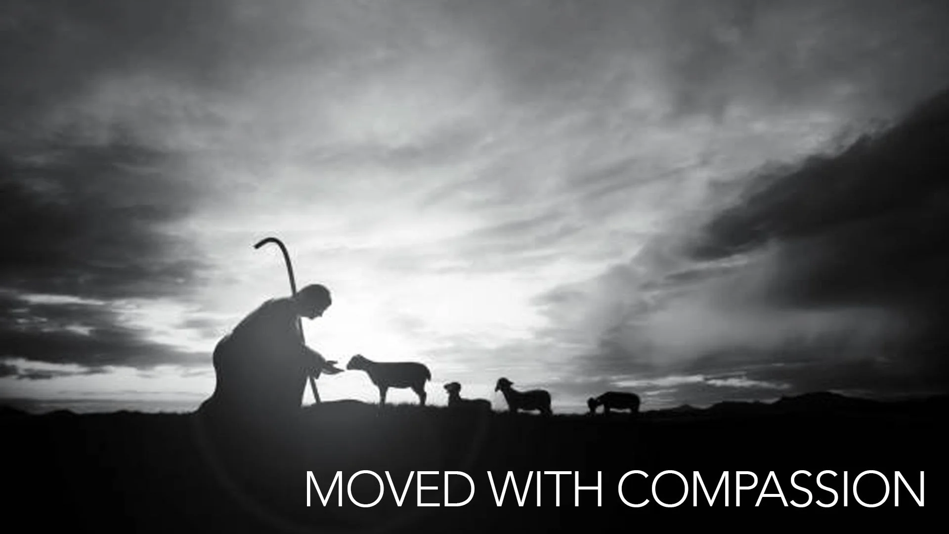 moved.jpg