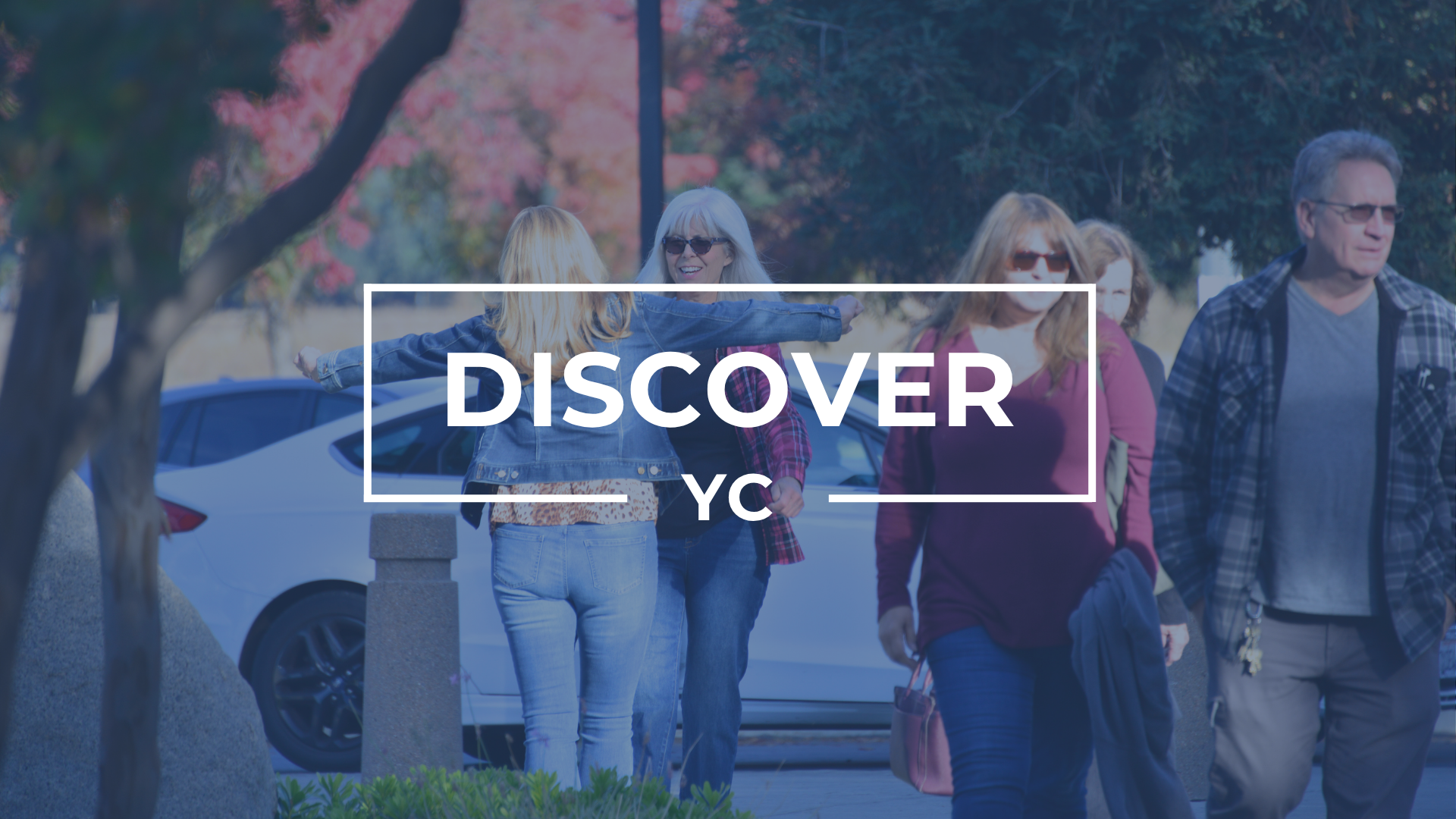 Discover YC