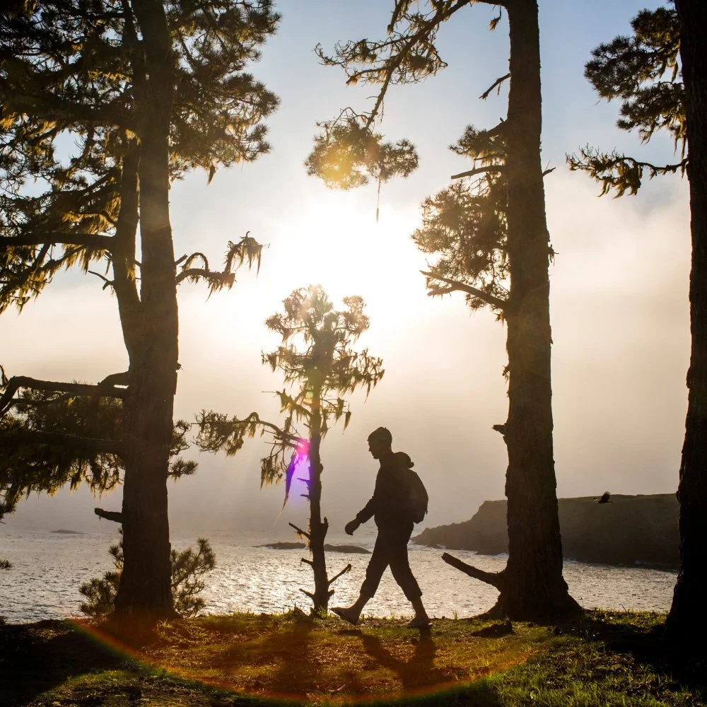 How to Calm Your Body Fast: 5 Grounding Skills You Can Use Anywhere