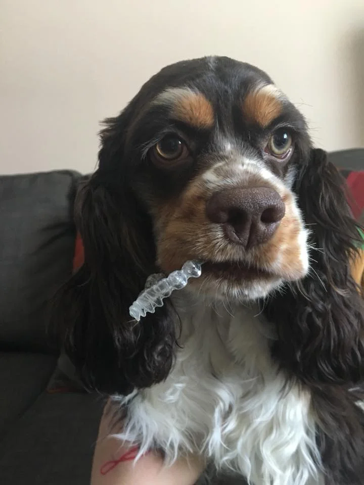 8 tootsie.jpg