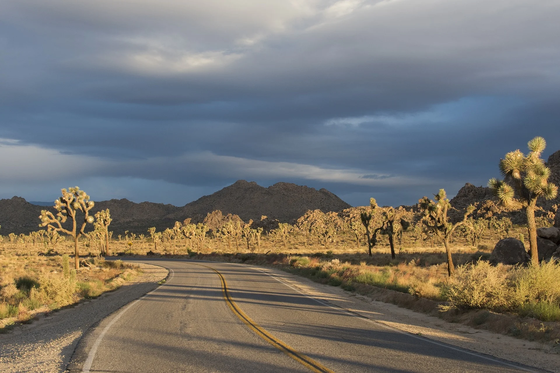desert-1111699_1920.jpg
