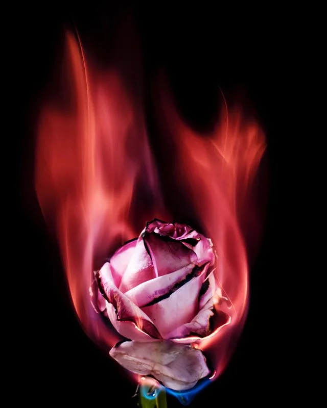Creativity is a spark. It can be excruciating when we&rsquo;re rubbing two rocks together and getting nothing. And it can be intensely satisfying when the flame catches and a new idea sweeps around the world
&bull;
&bull;
&bull;
&bull;
&bull;
 #photo