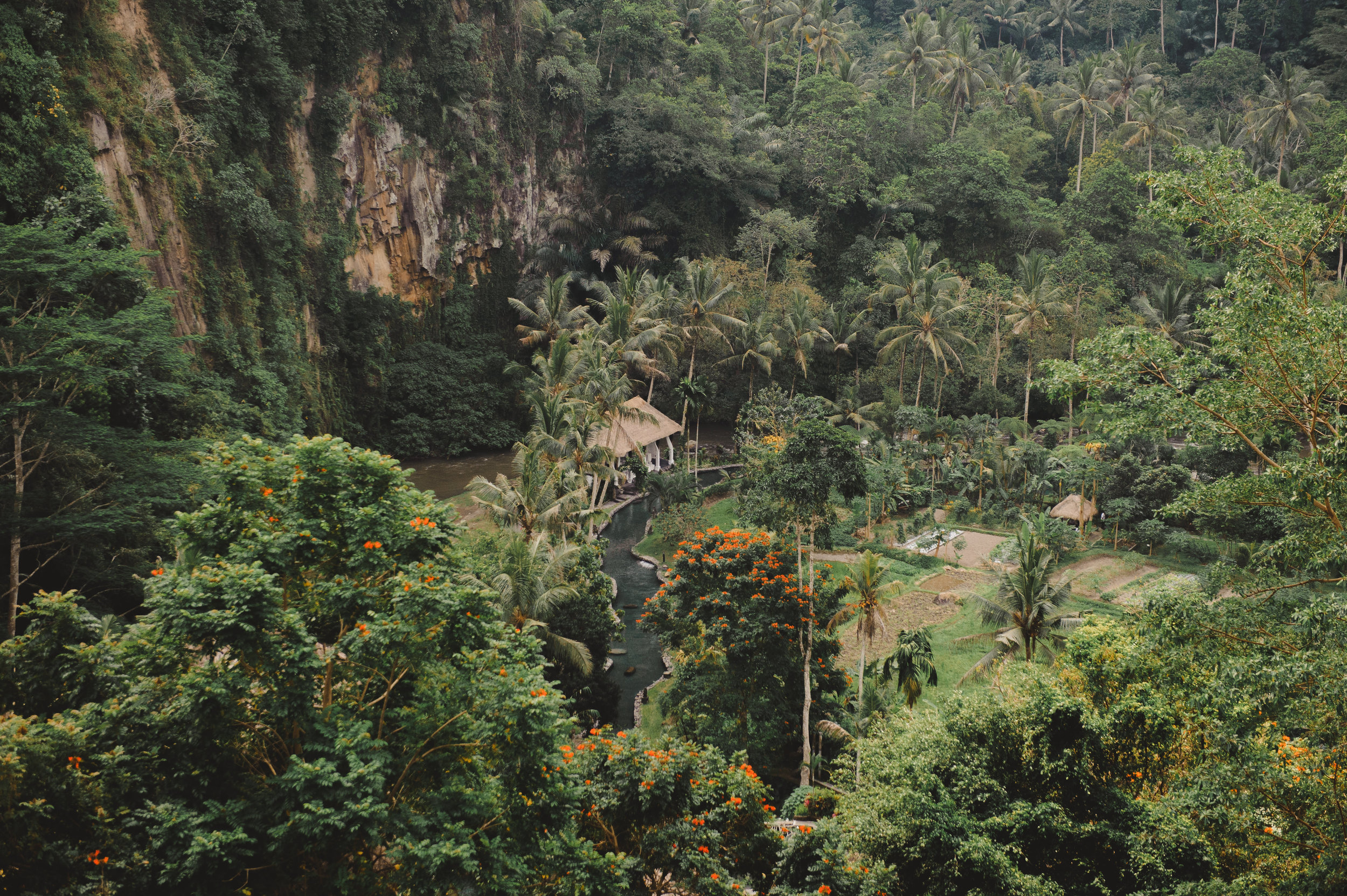 Botanica Weddings Bali