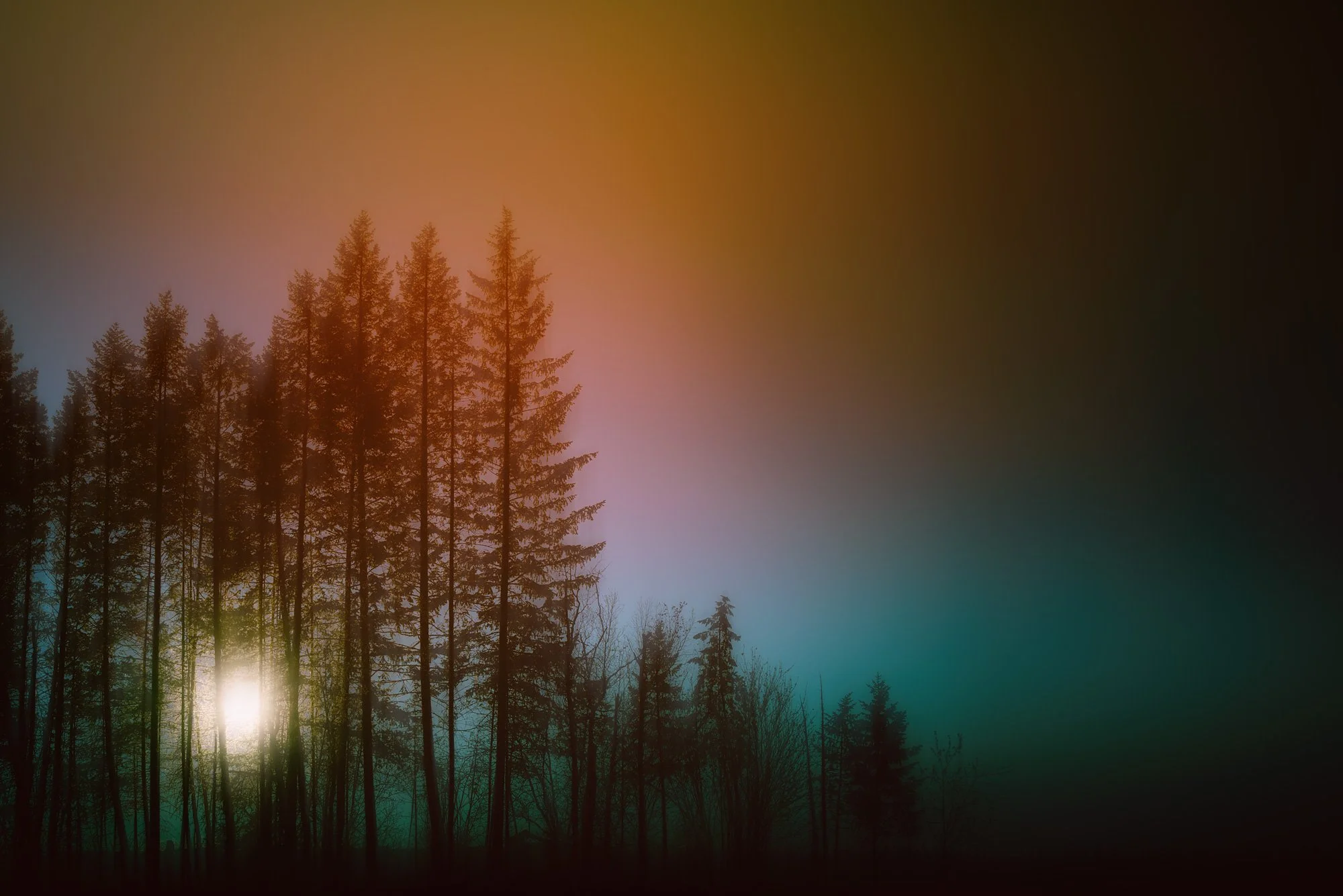 DSC_0005_Glow_Behind_The_Trees.jpg