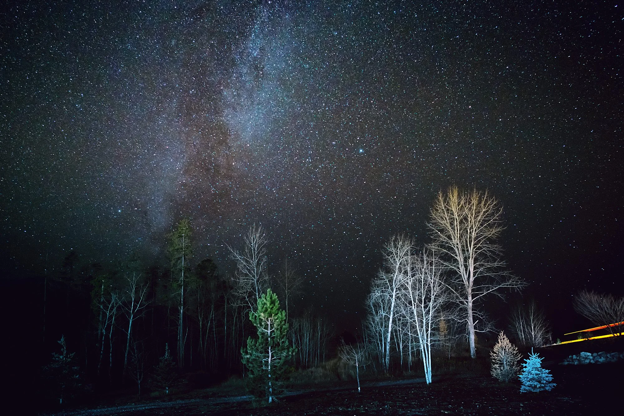 DSC_1242_Tree&MilkyWay.jpg
