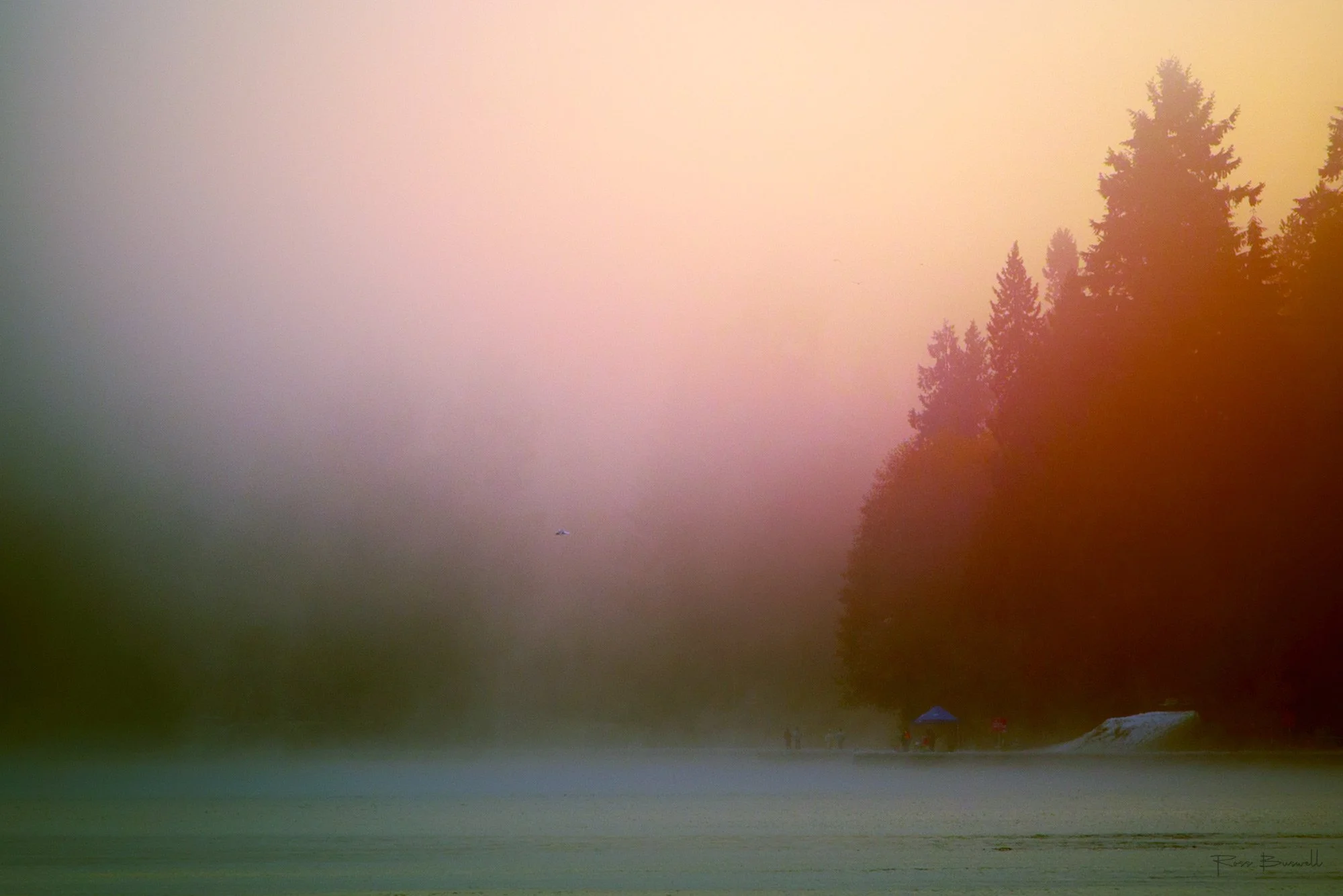 DSC2766_The_Iridescent_Mist_w_Sig.jpg