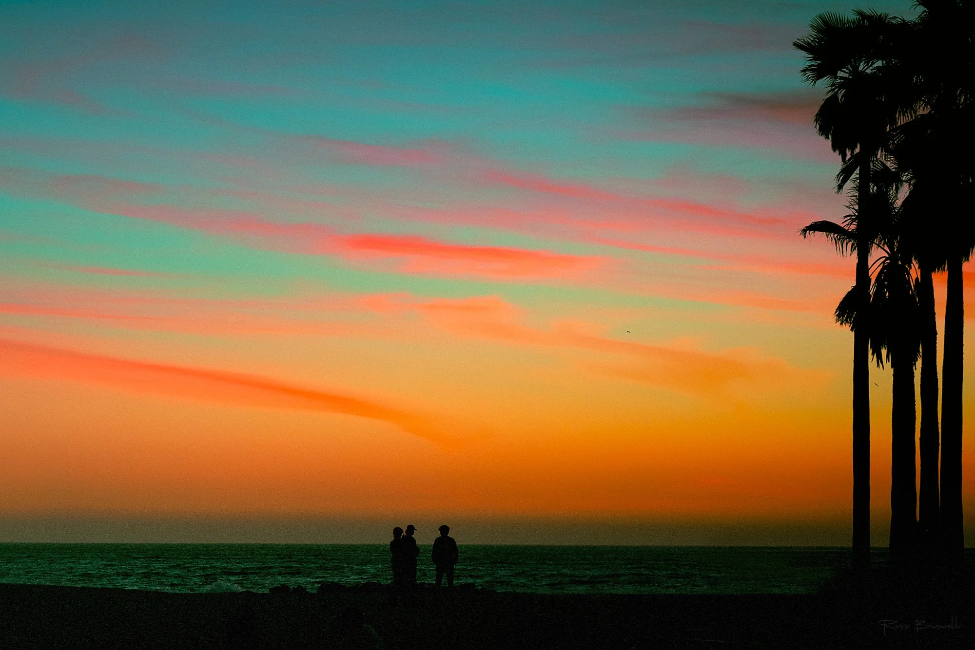 2000x1335_Surreal_Tropics_2000px_w-sig.jpg