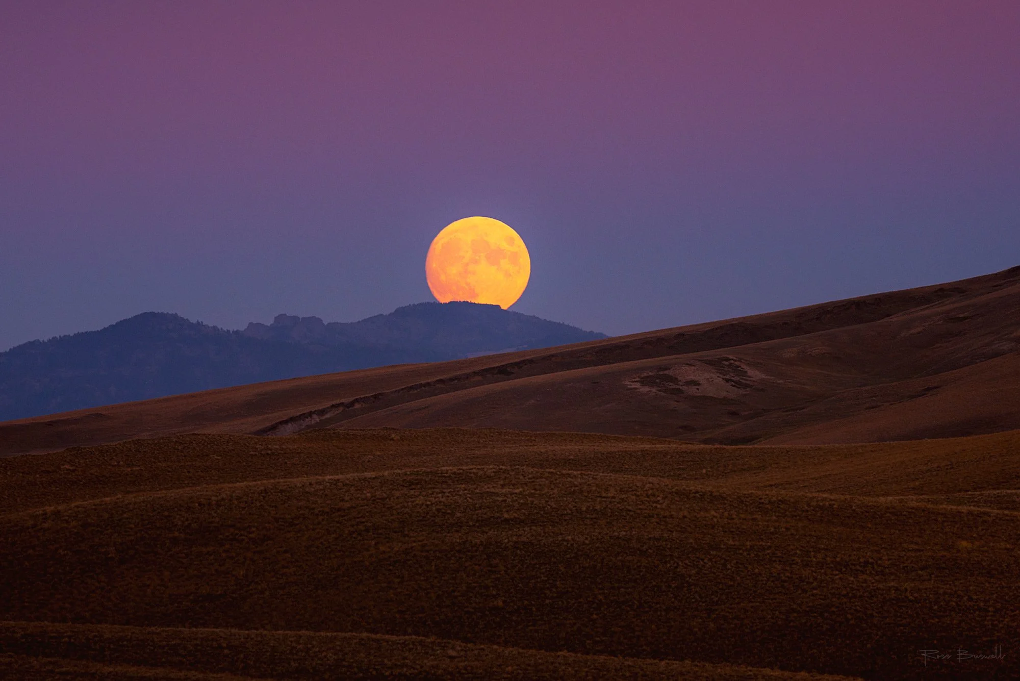 DSC_1937_Montana_Moon_Rise_w-sig.jpg