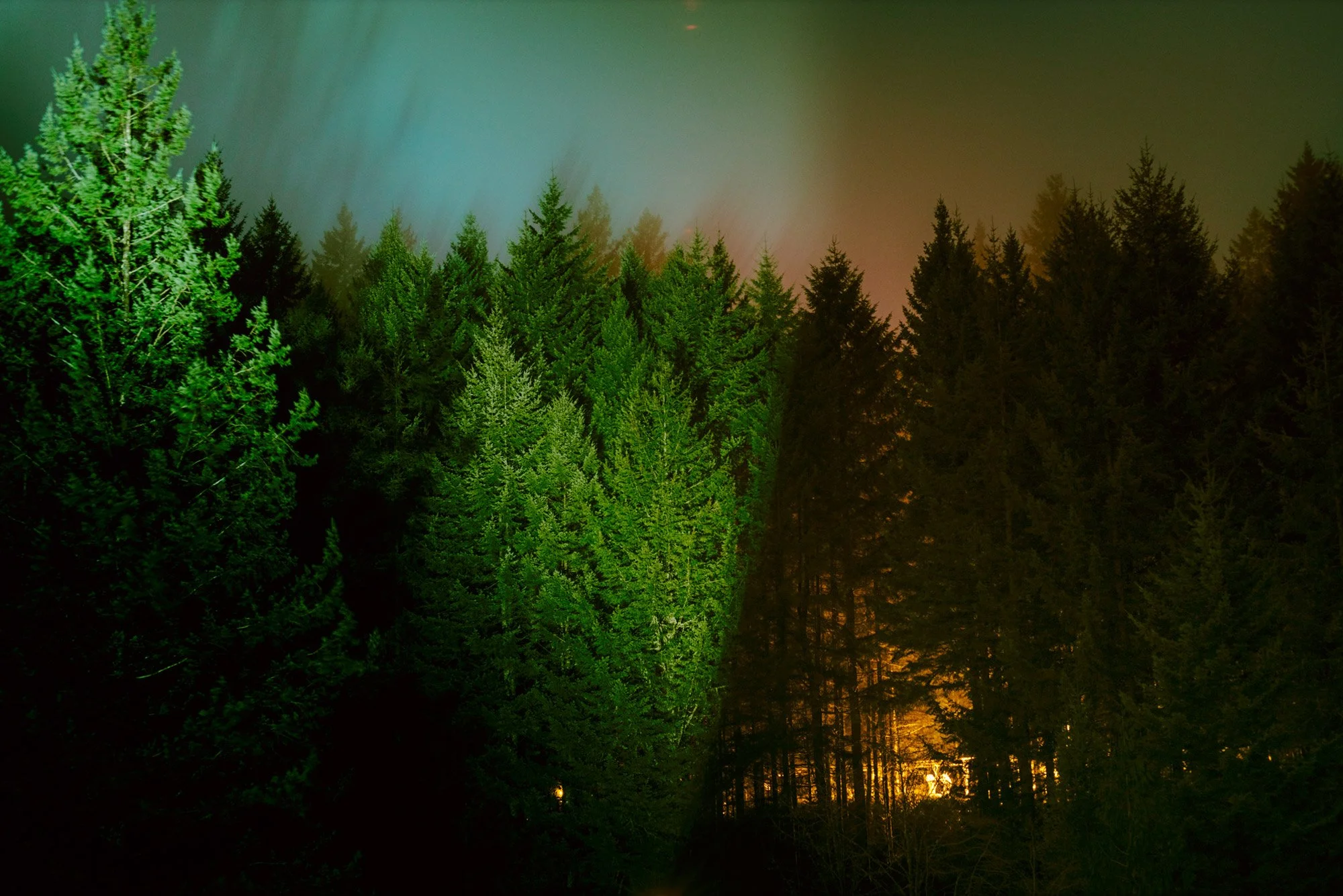 DSC_7165_Forest_Light_Shard.jpg