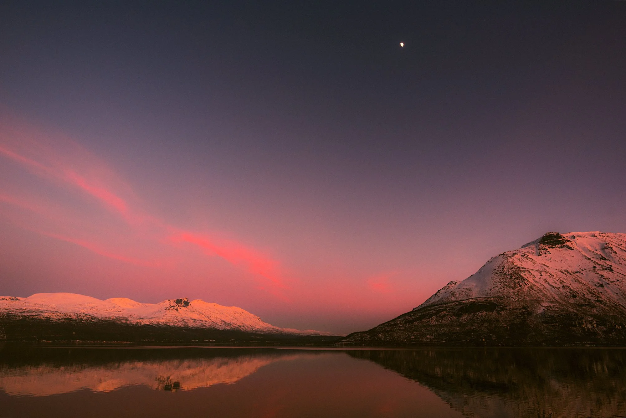 DSC_7766_feathered_pink_dusk.jpg