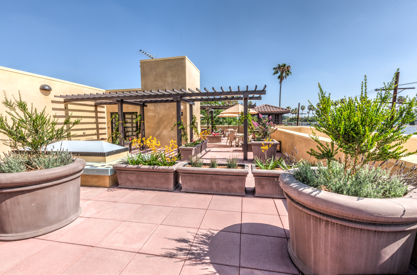 Flowers and various potted plants on rooftop at Sequoia Apartments