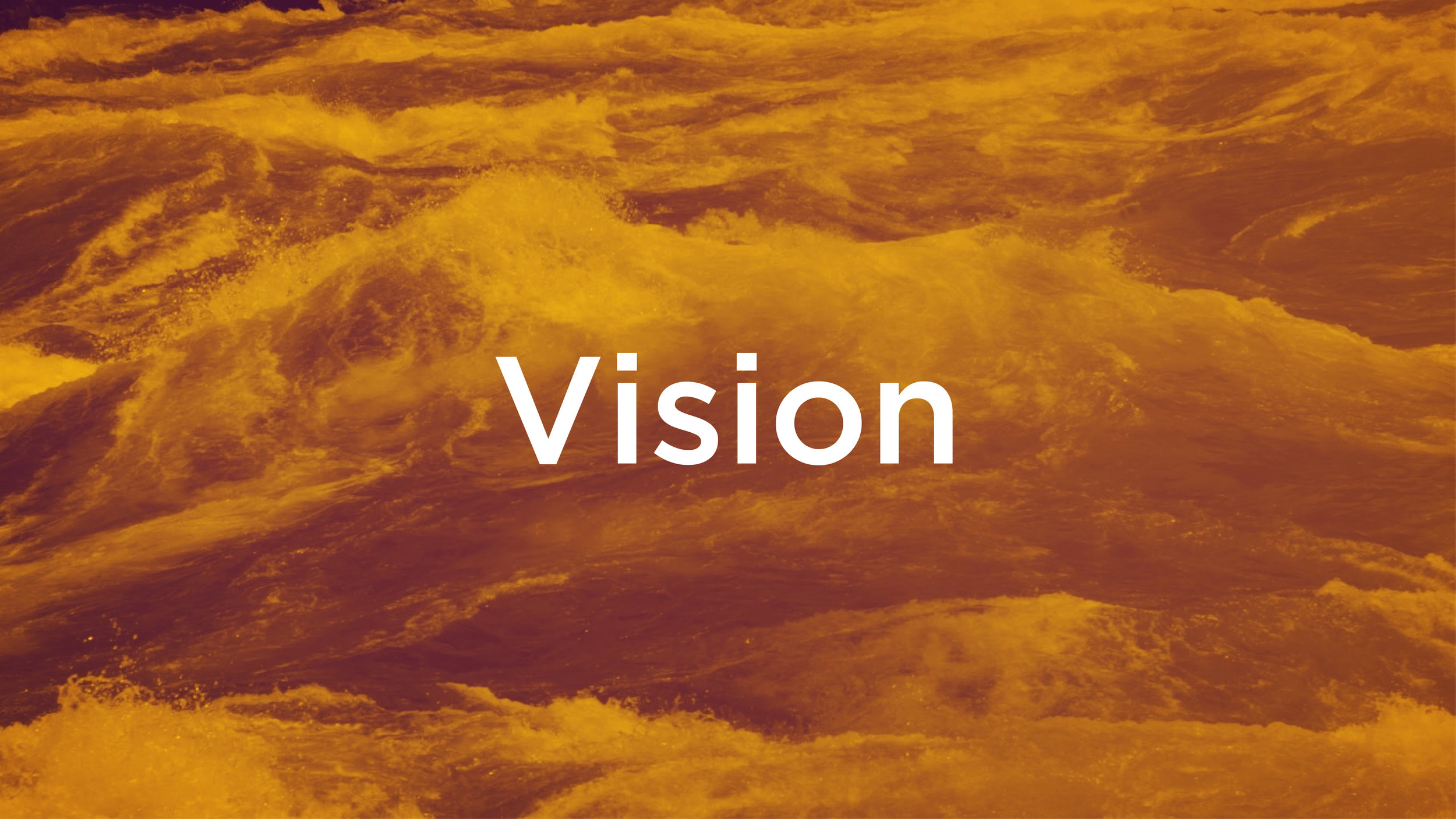 Vision Banner.jpg