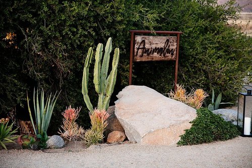 Animalón — photograph 6