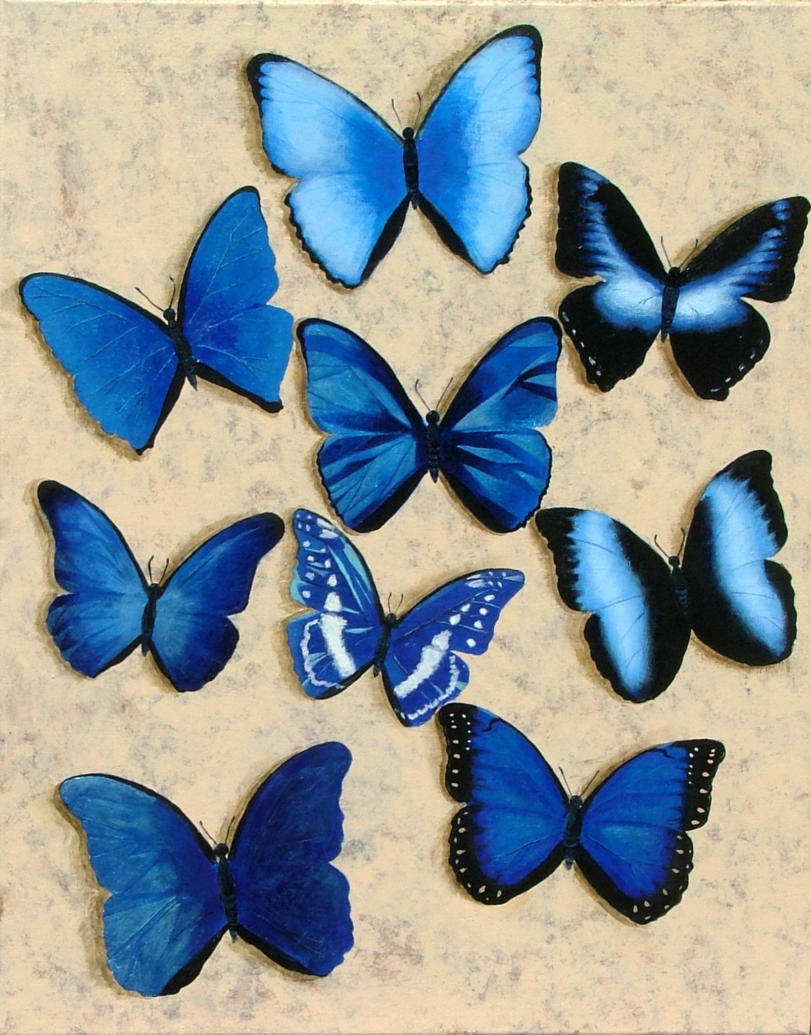 Morpho Butterflies