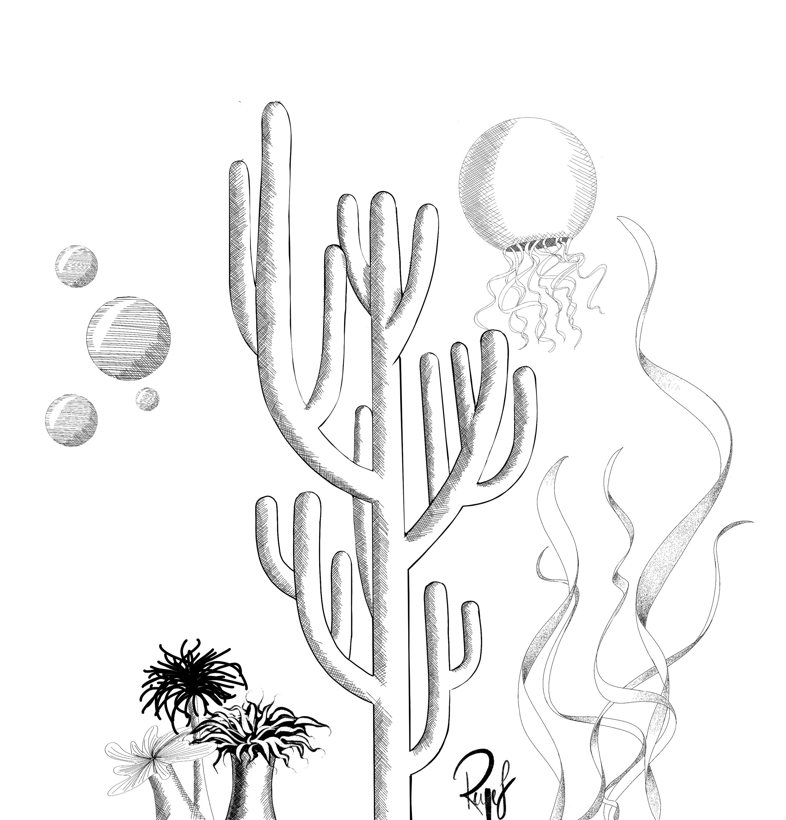 Day 20: Coral