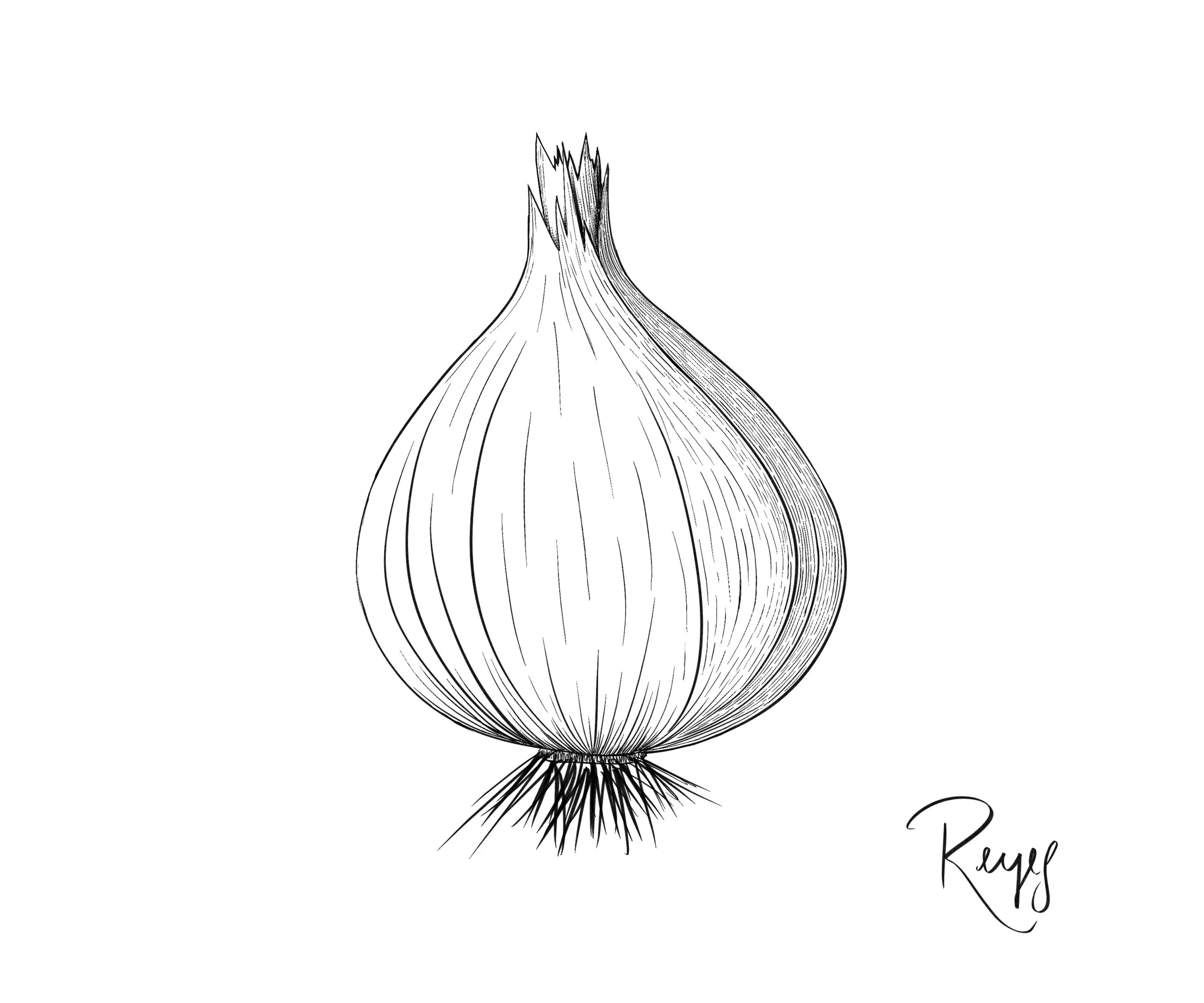 Day 27: Onion