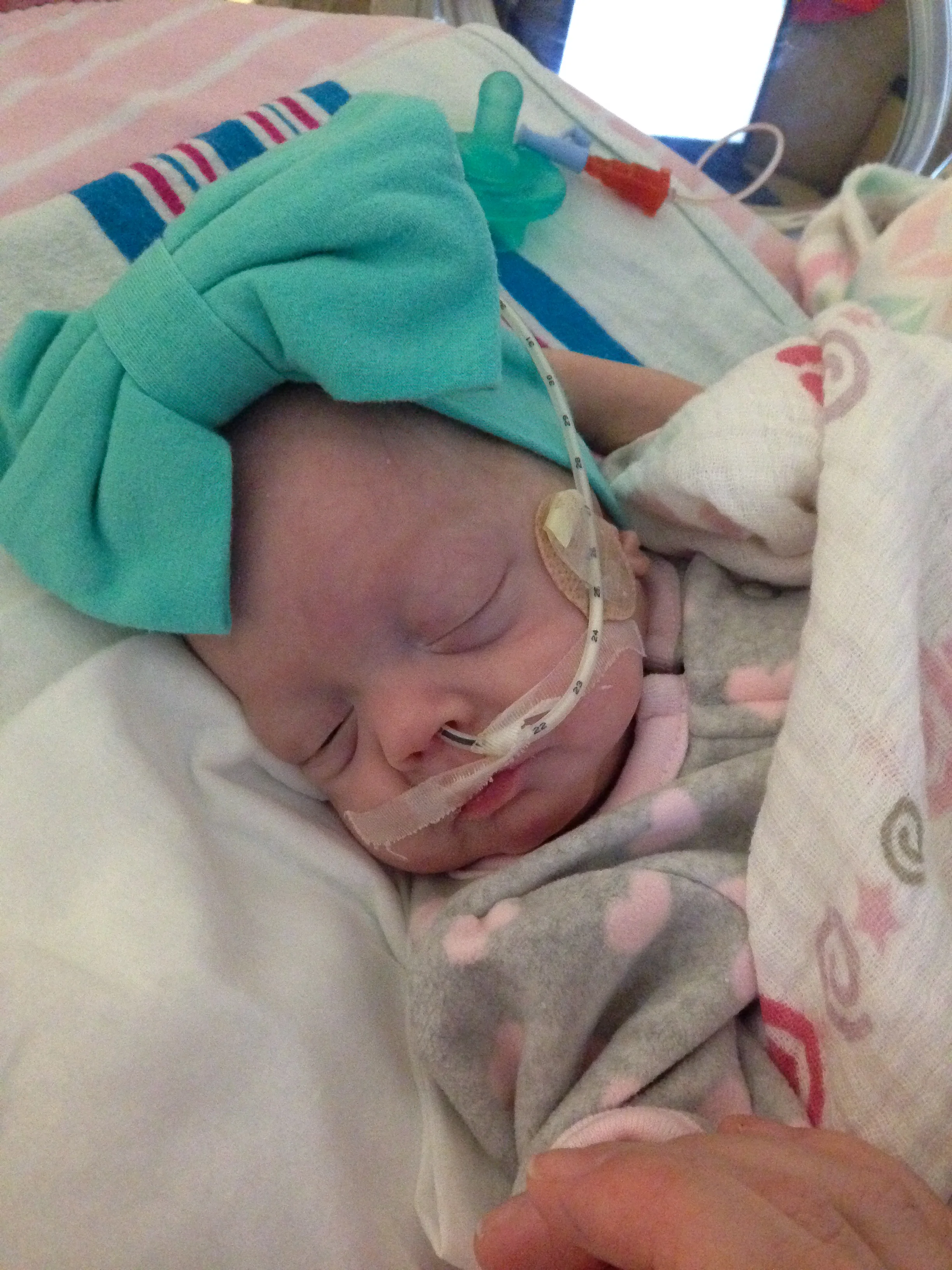 addie belle - diary of a NICU dad - day 79 - shegotguts.com-1.jpg