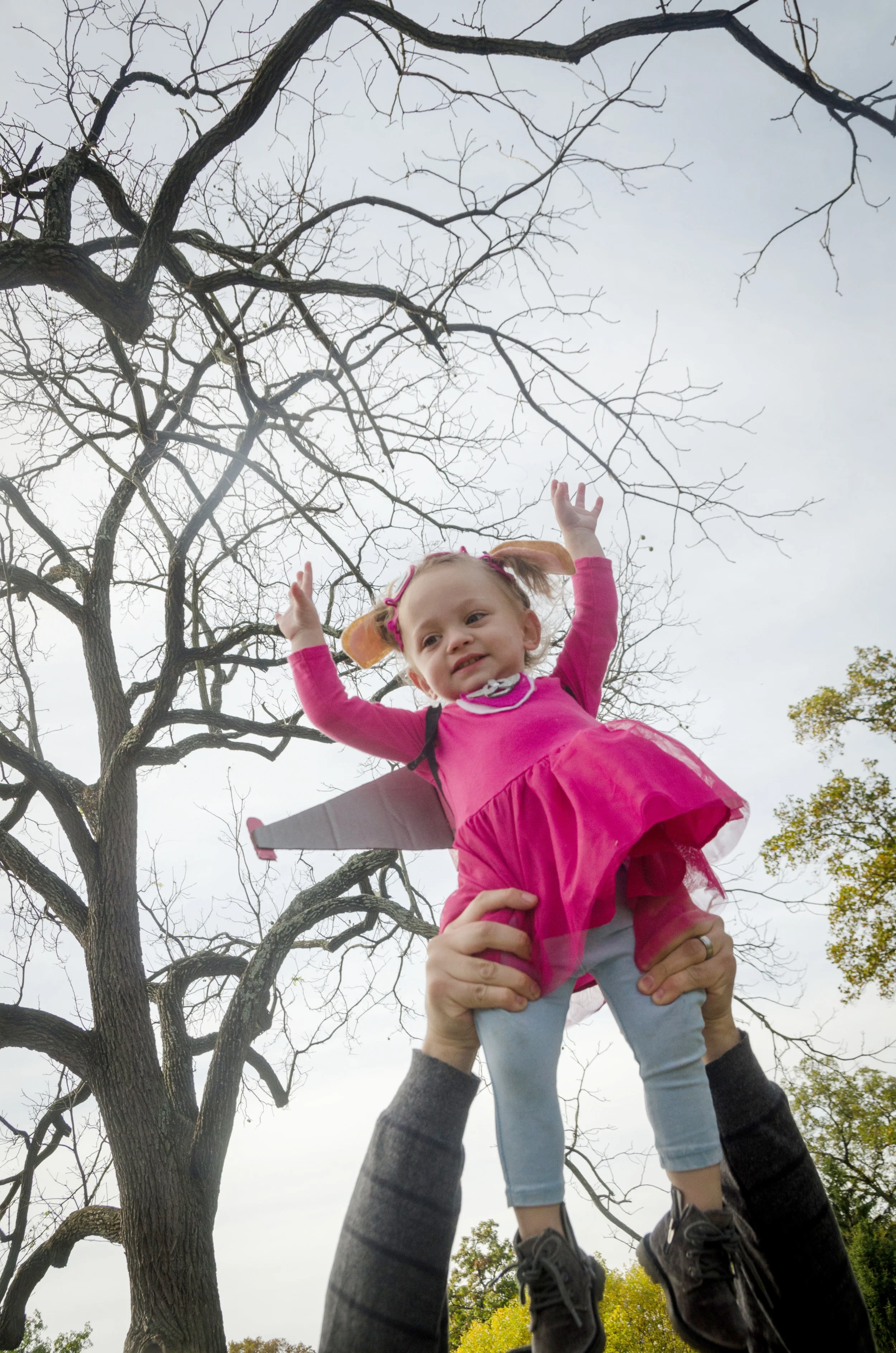 addie belle - 2 years old - october 2017 - shegotguts.com-22.jpg