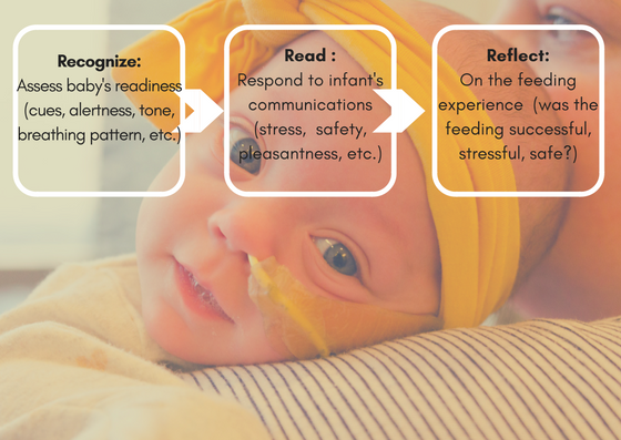 feeding premature babies at home