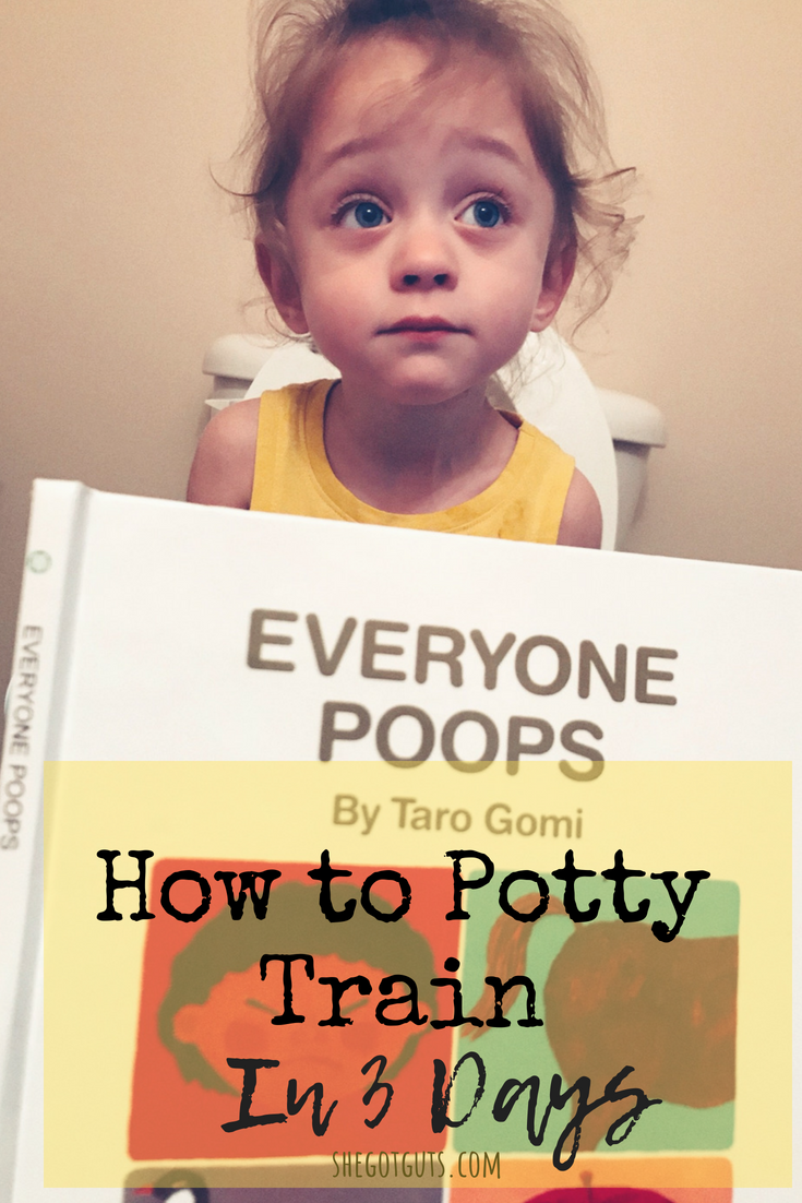 how to potty train in 3 days - www.shegotguts.com.png