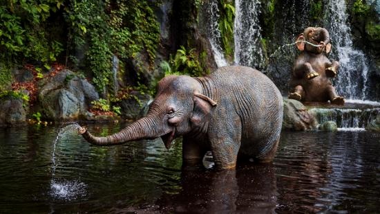 best+rides+for+toddler+-+jungle+crusie+-+magic+kingdom+-+she+got+guts.jpg