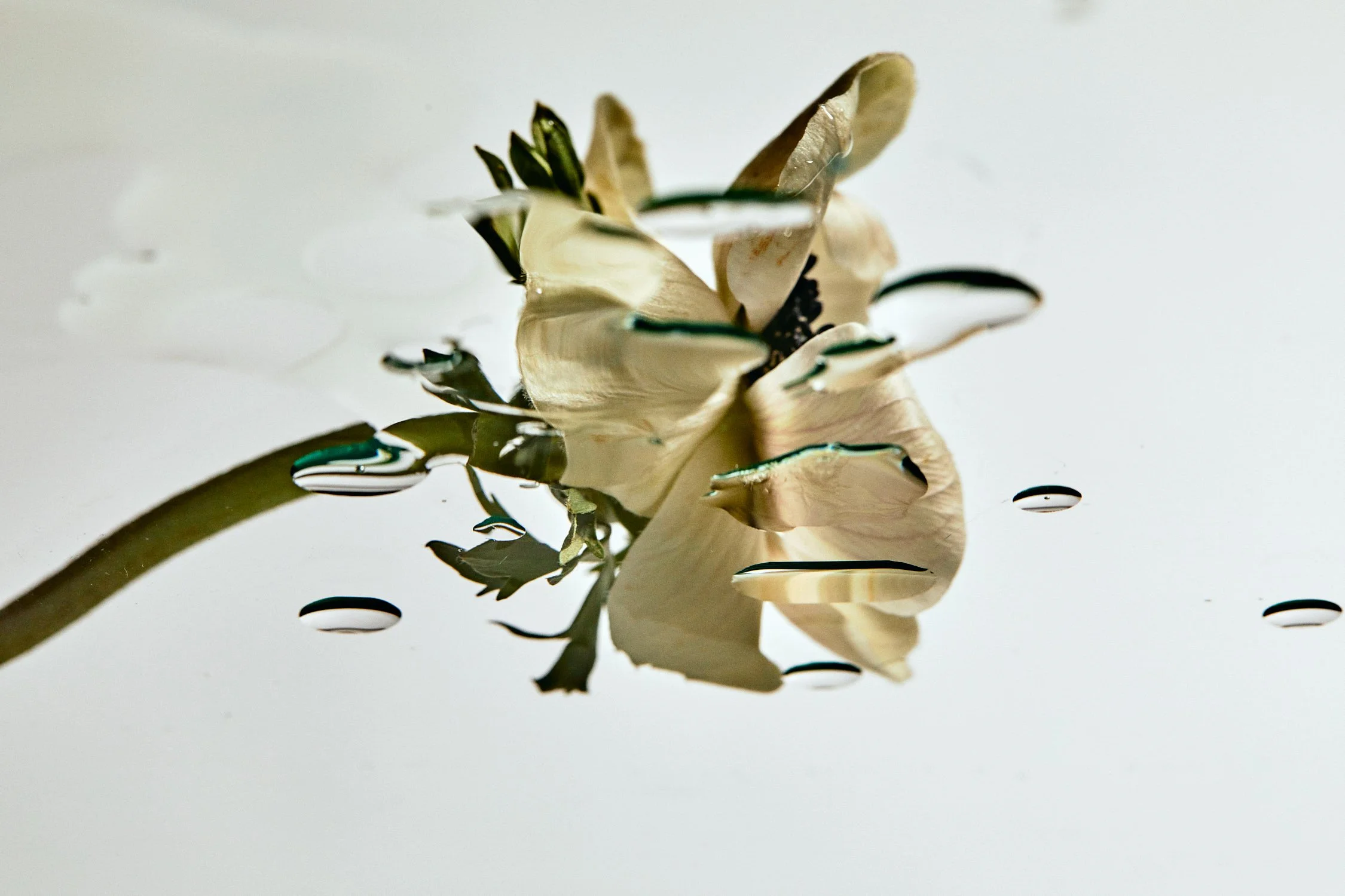 2022-02-18 G-FLASH 3 28.jpeg