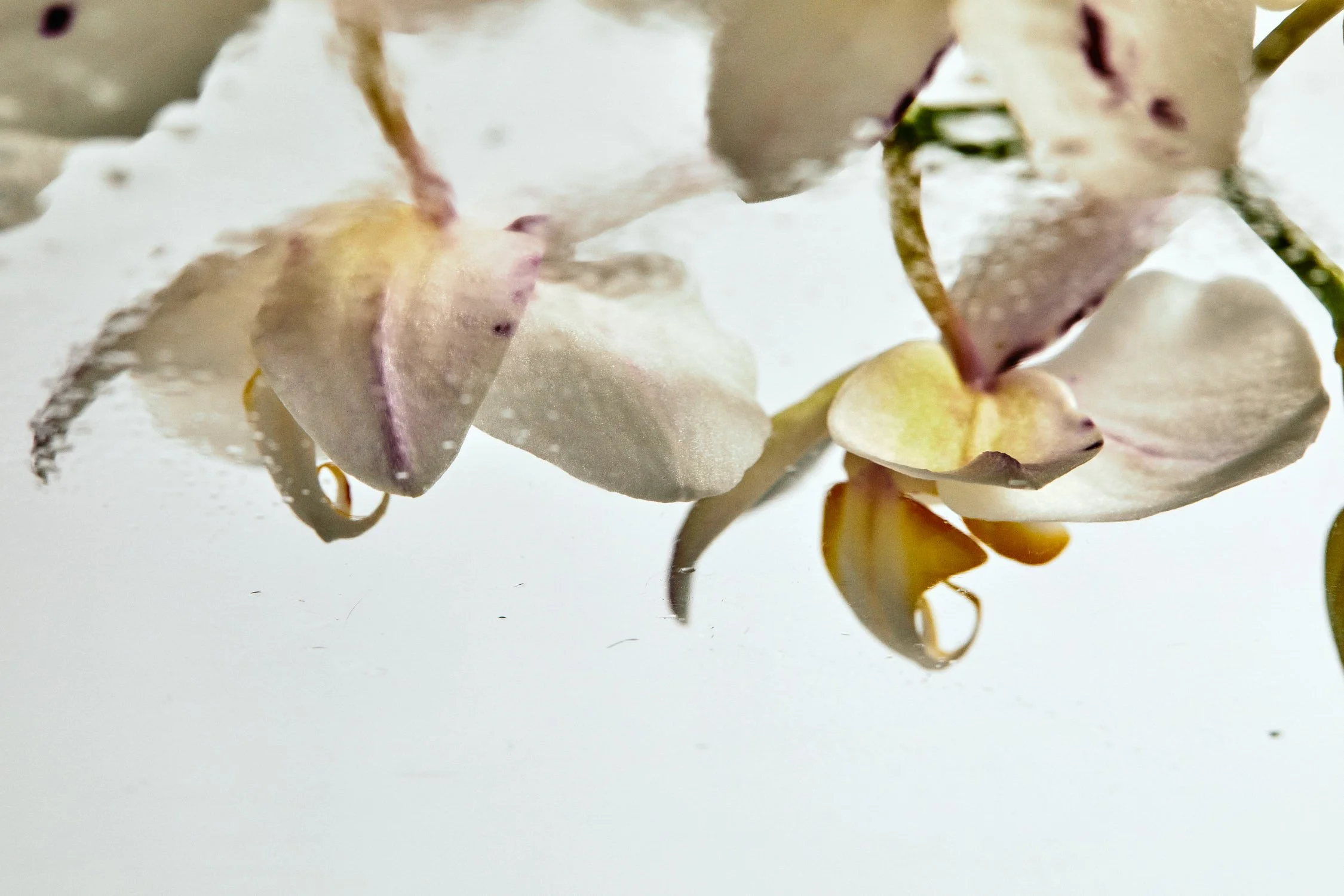 2022-02-18 G-FLASH 3 32.jpeg