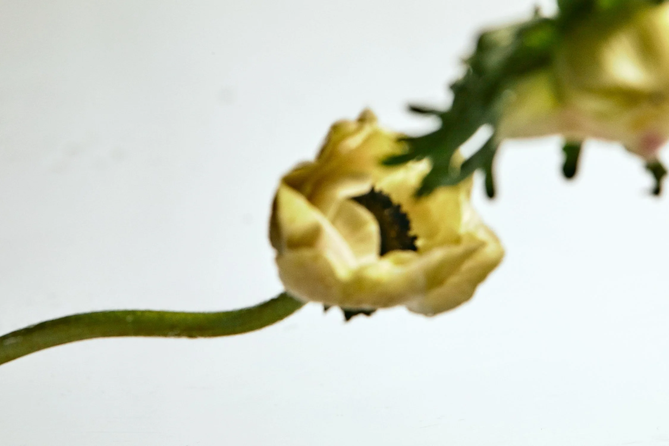 2022-02-18 G-FLASH 3 34.jpeg