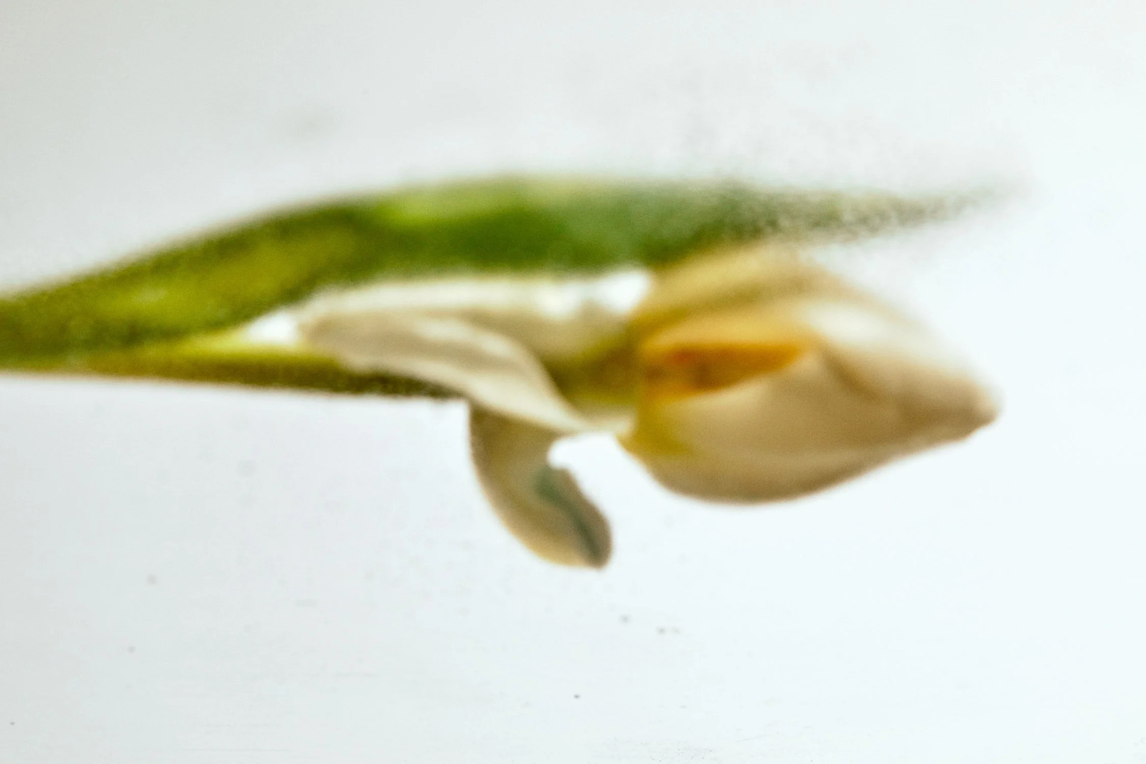 2022-02-18 G-FLASH 3 35.jpeg