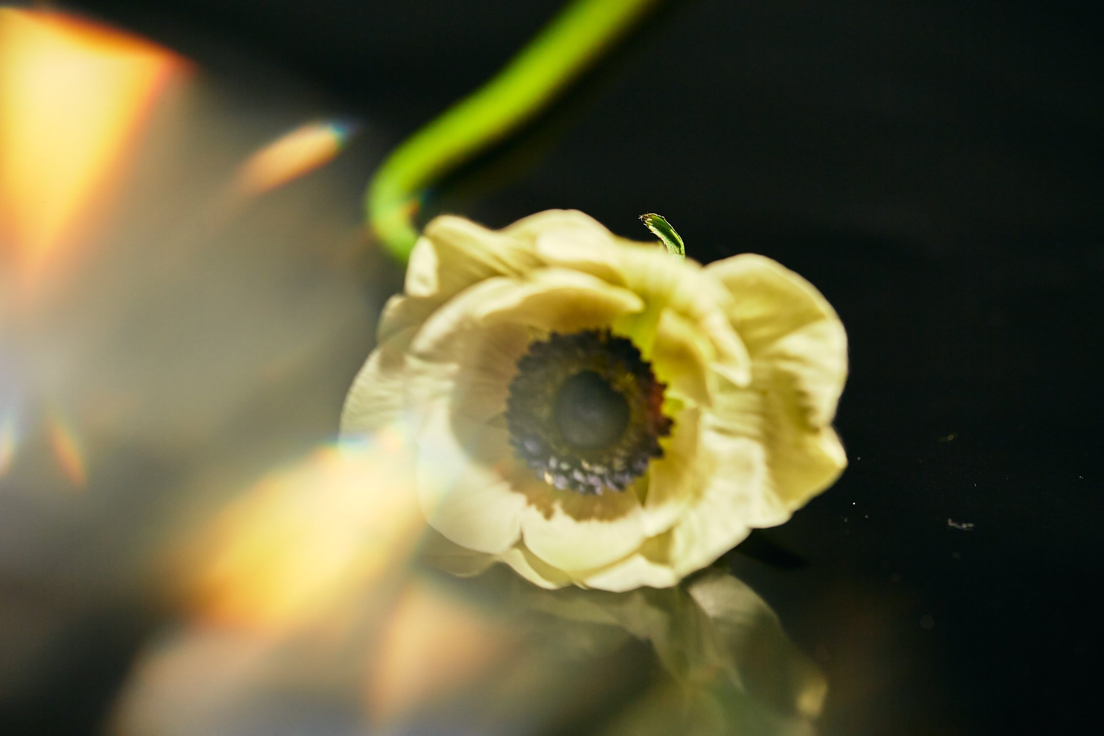 2022-02-18 G-FLASH 4 9.jpeg