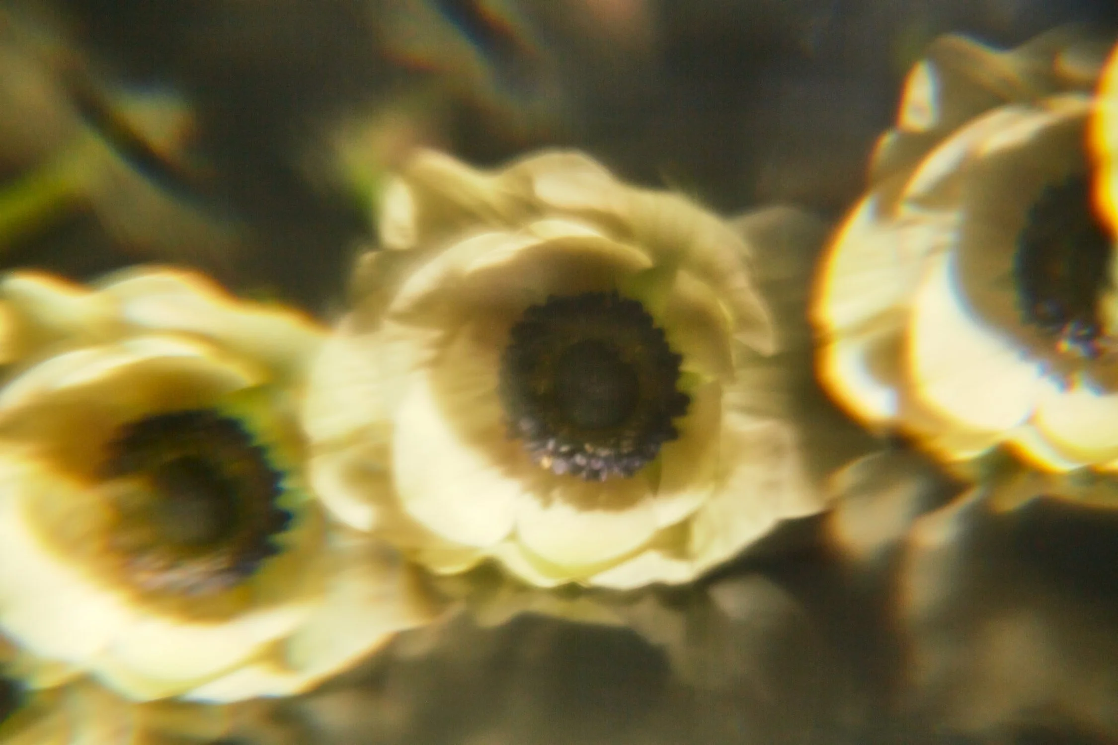 2022-02-18 G-FLASH 4 11.jpeg