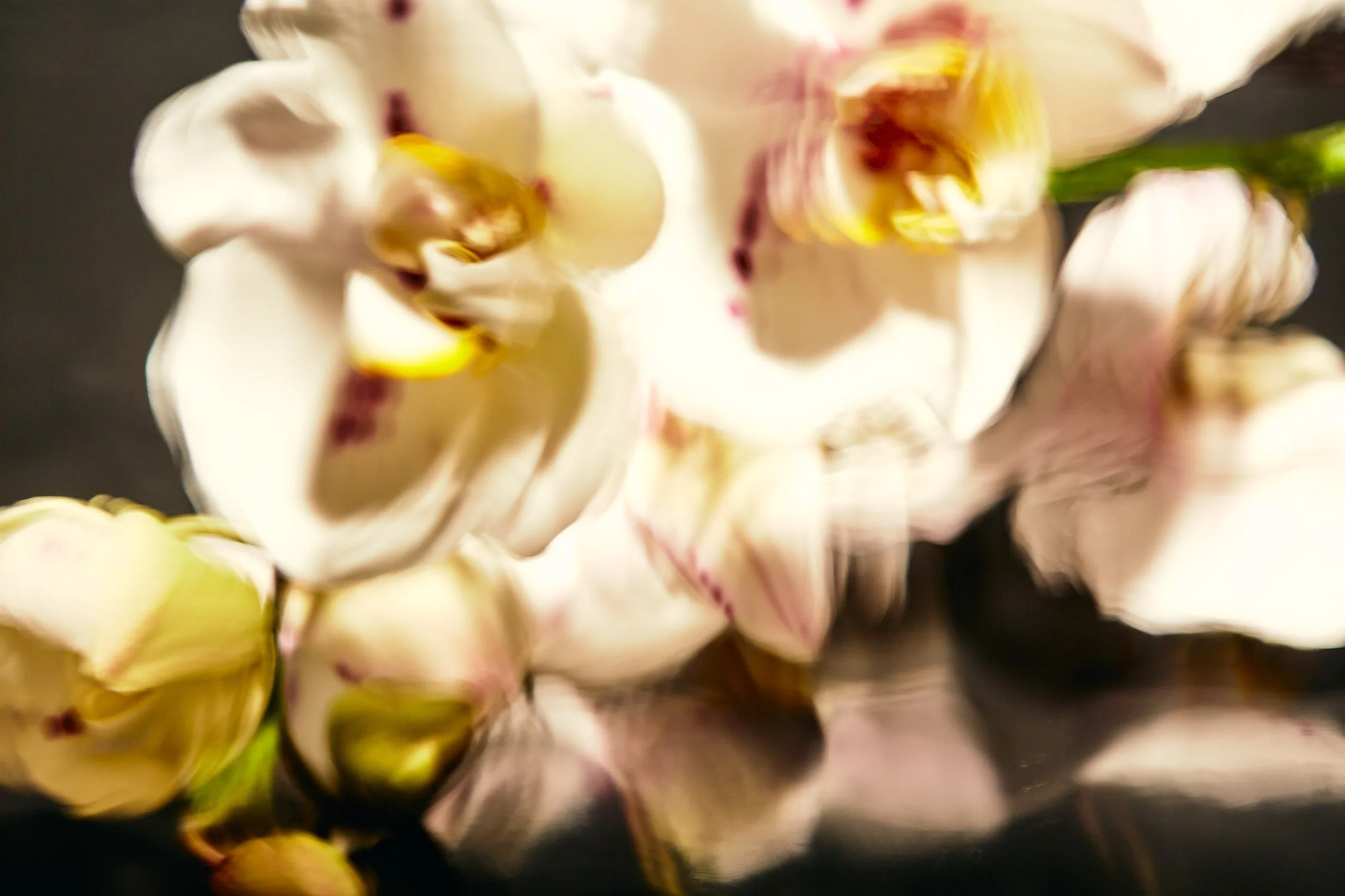 2022-02-18 G-FLASH 4 14.jpeg