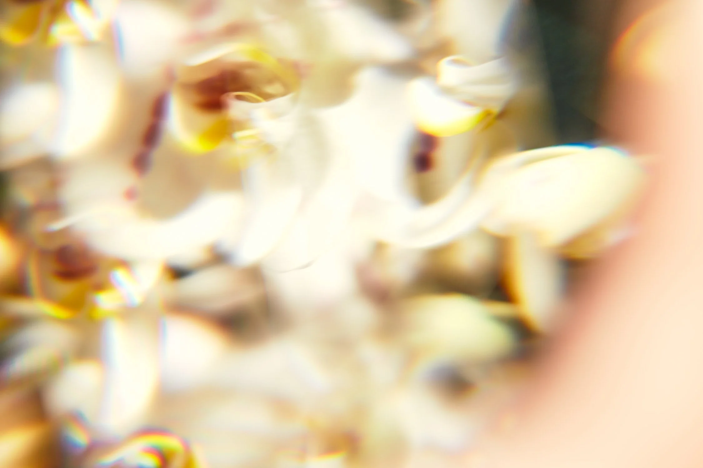 2022-02-18 G-FLASH 4 15.jpeg