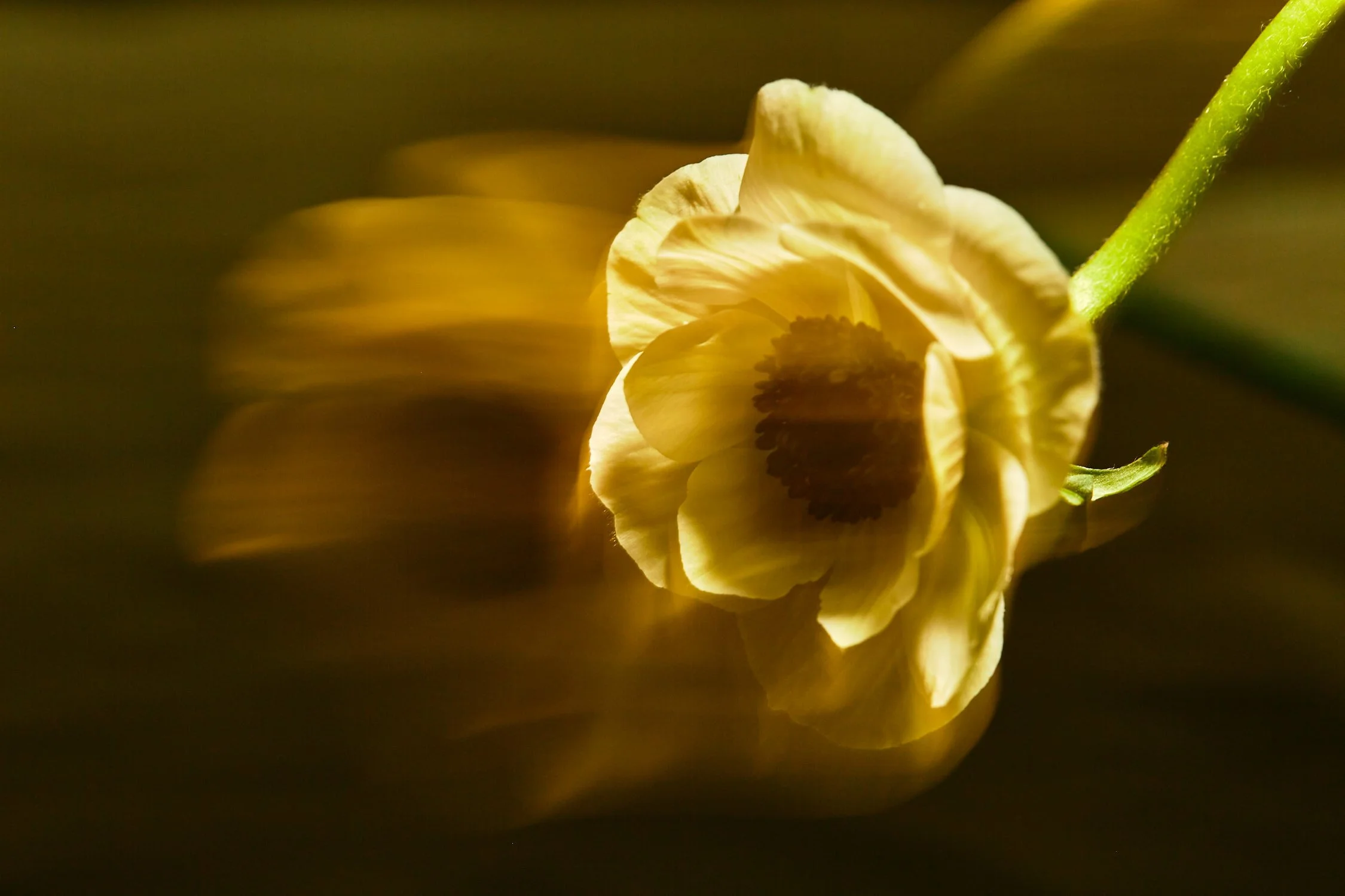 2022-02-18 G-FLASH 4 20.jpeg