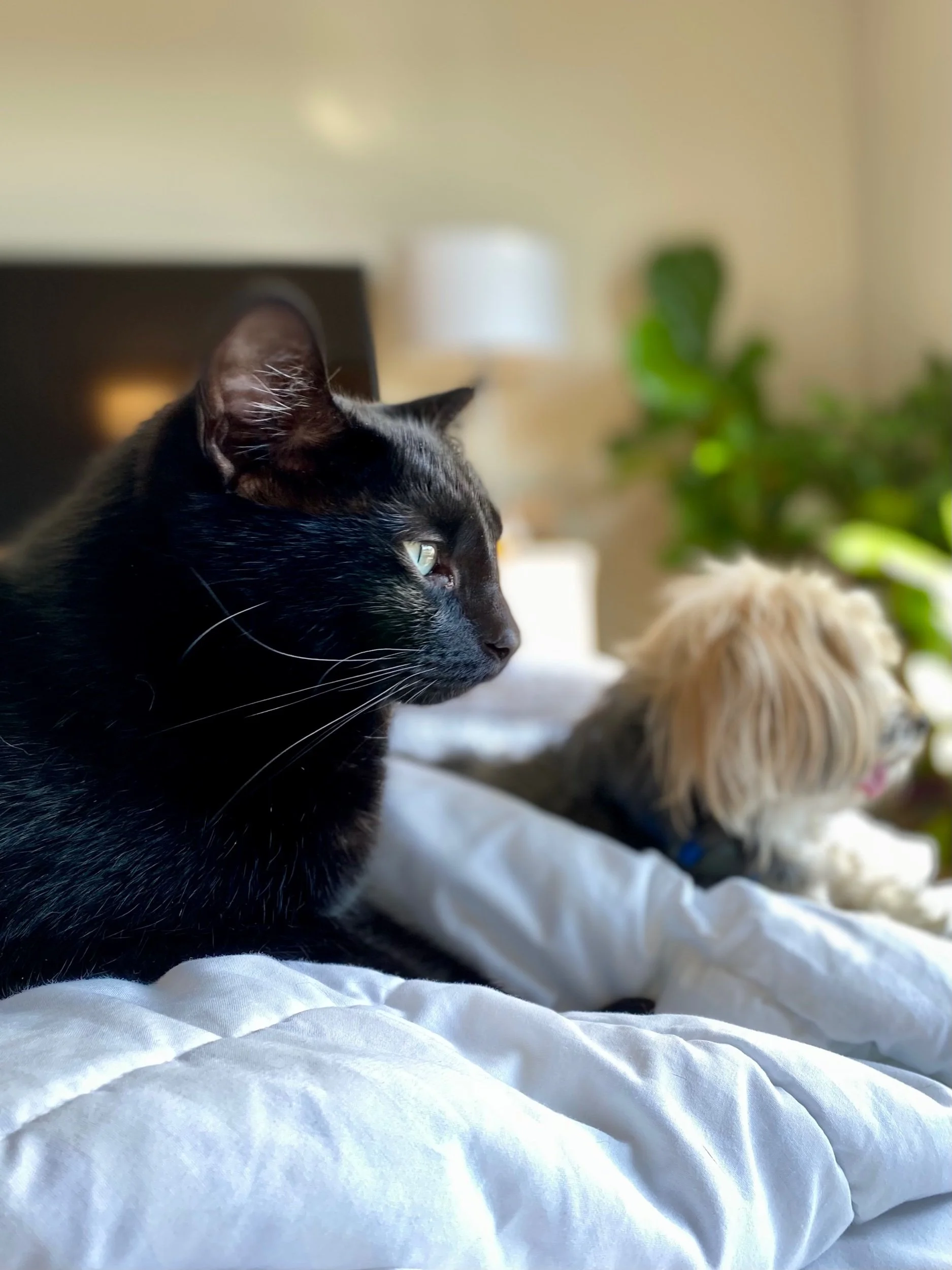 Make Every Journey Rewarding: I’m Sorry