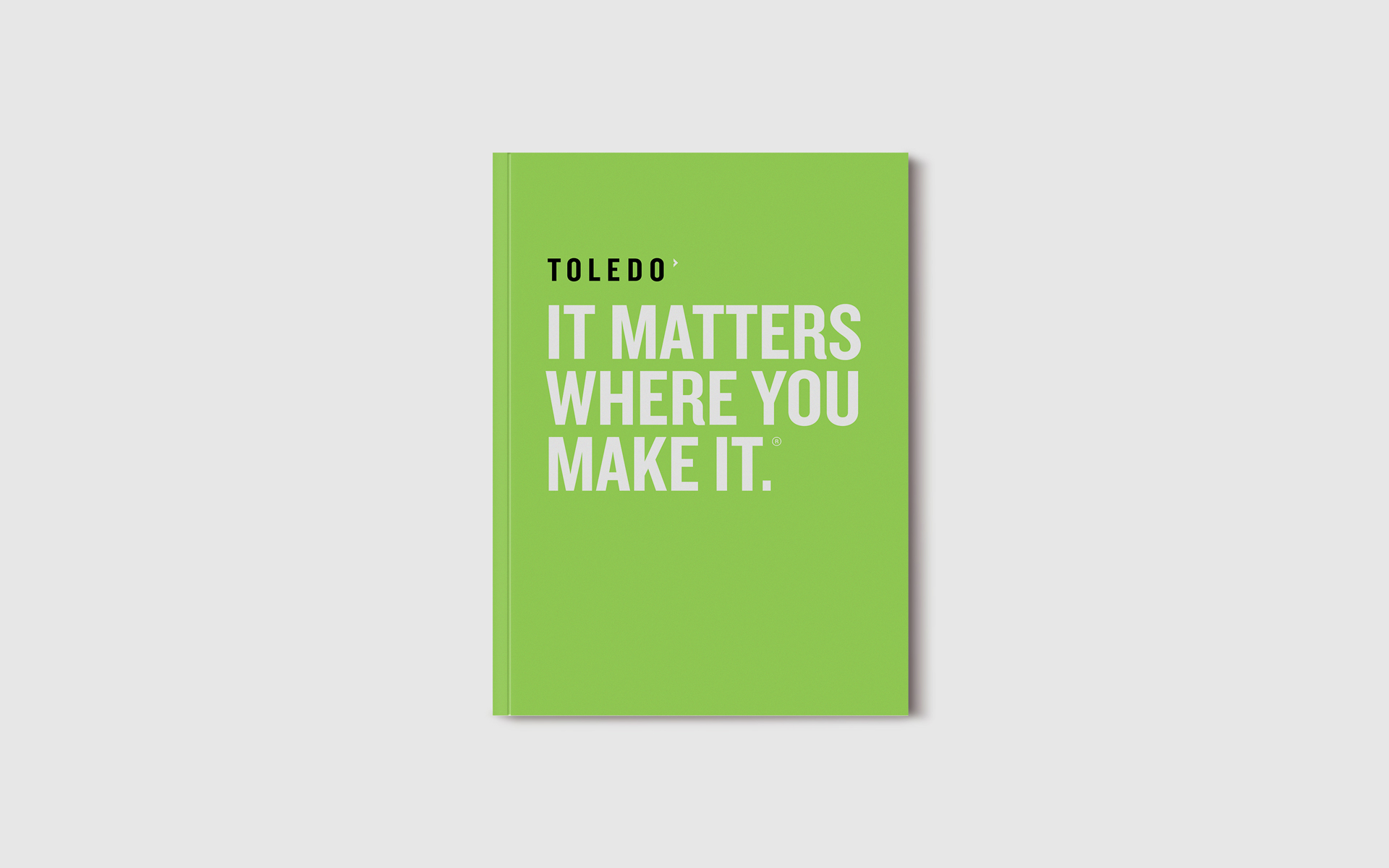 Toledo_Region_book_cover.jpg