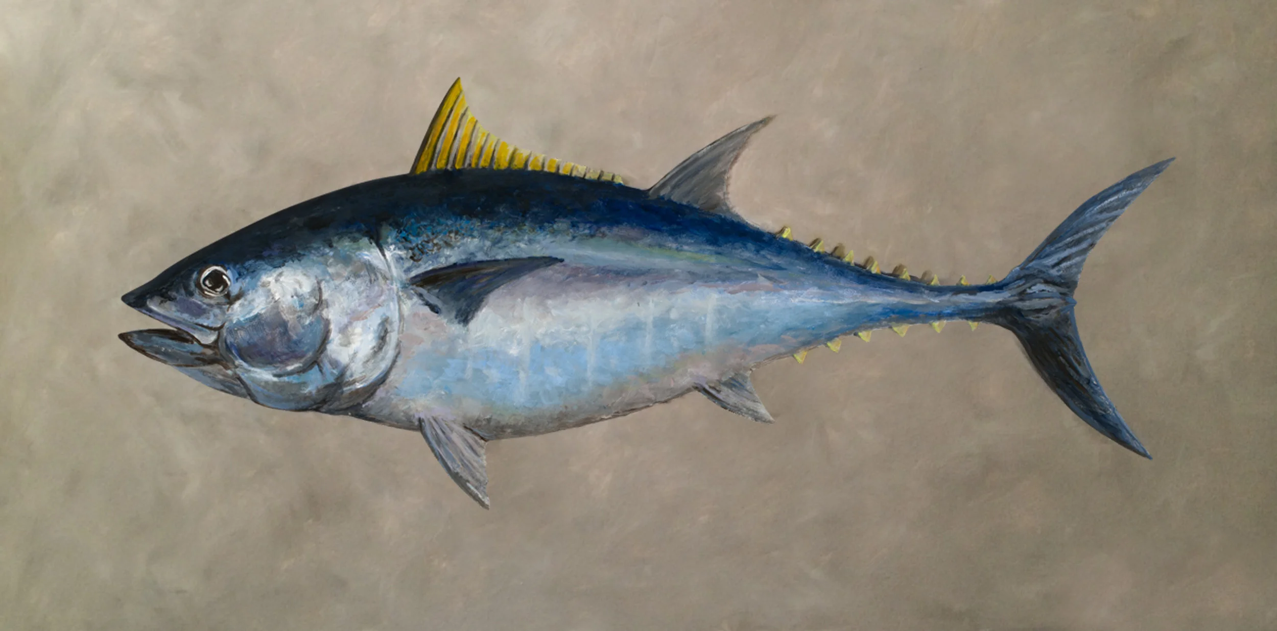 Bluefin | 2016 | Open Acrylic on Panel | 12" x 24" | SOLD