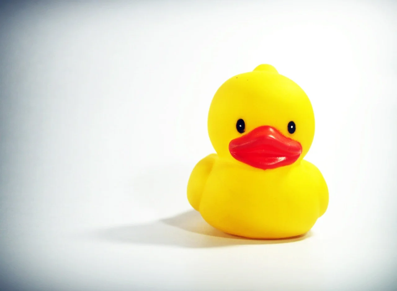 lawyer rubber duck