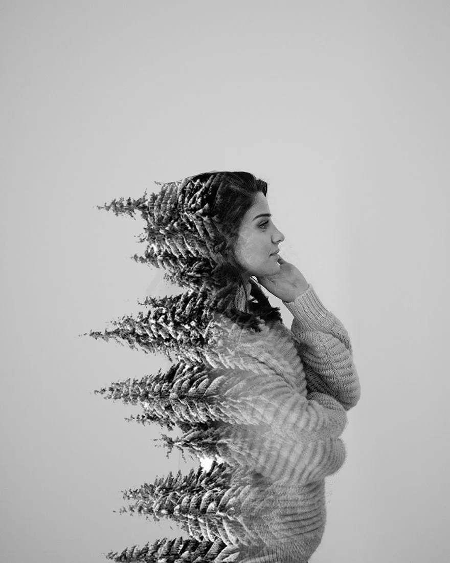 HannahB-tree.jpg